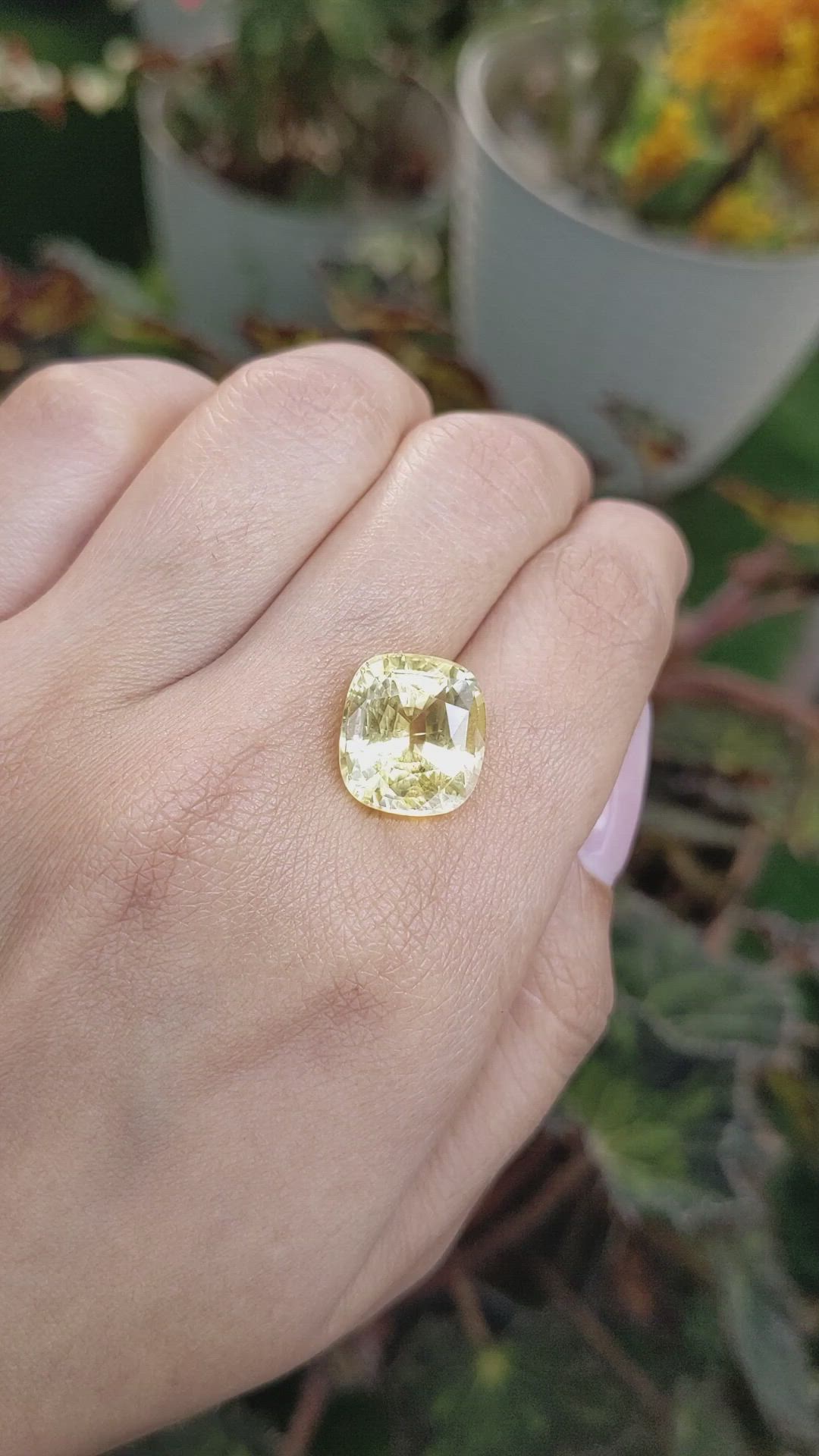 12.19 Ct. Yellow Sapphire from Ceylon (Sri Lanka) Size Video