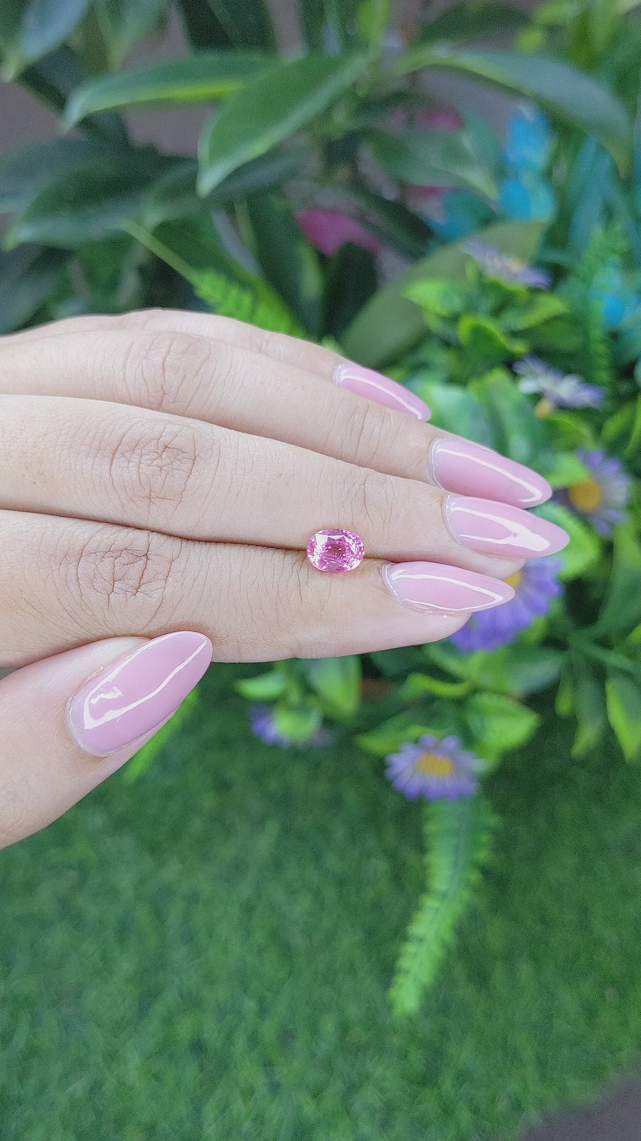 1.50 Ct. Pink Sapphire from Tanzania Size Video