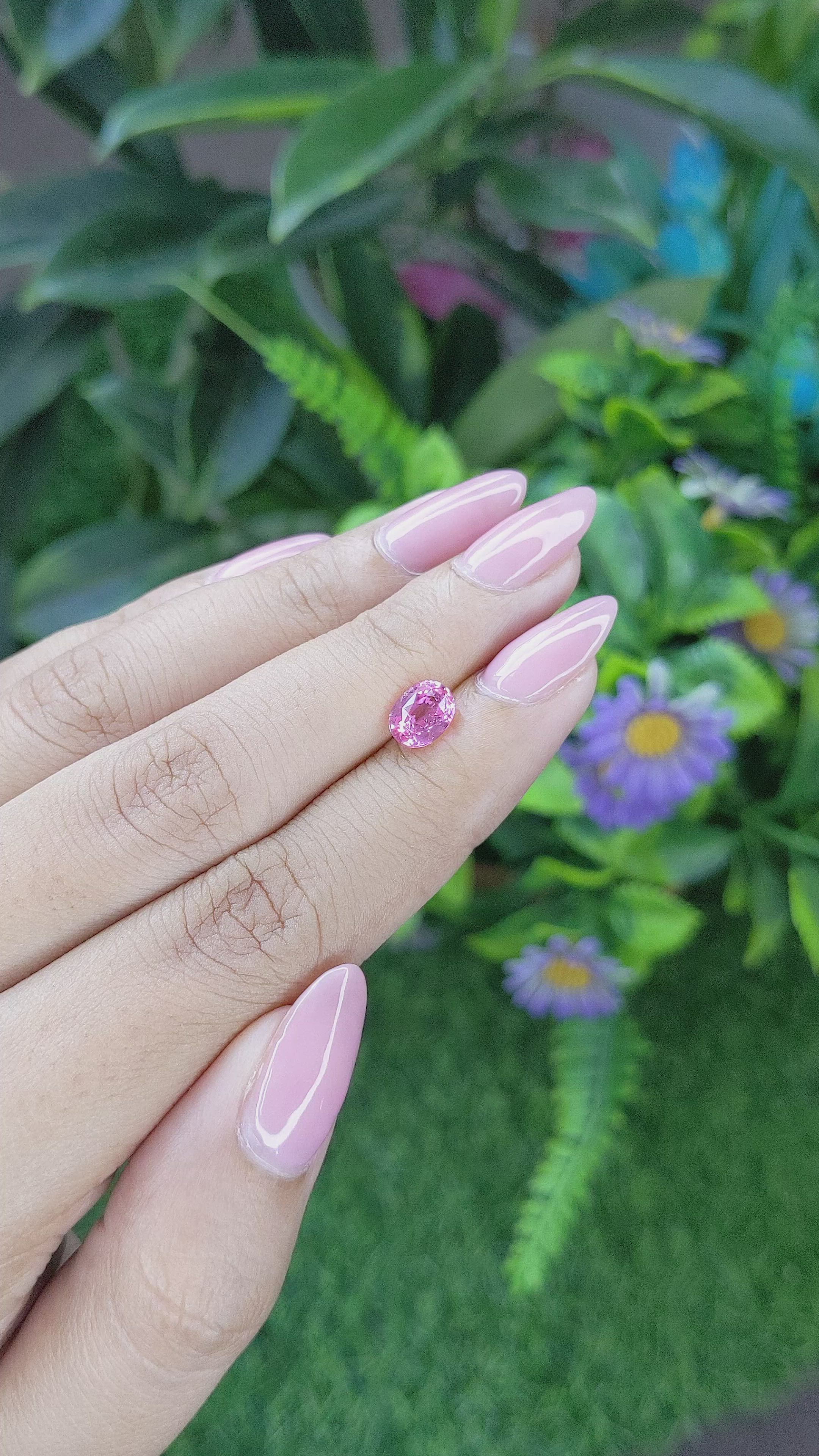 1.50 Ct. Pink Sapphire from Tanzania Size Video