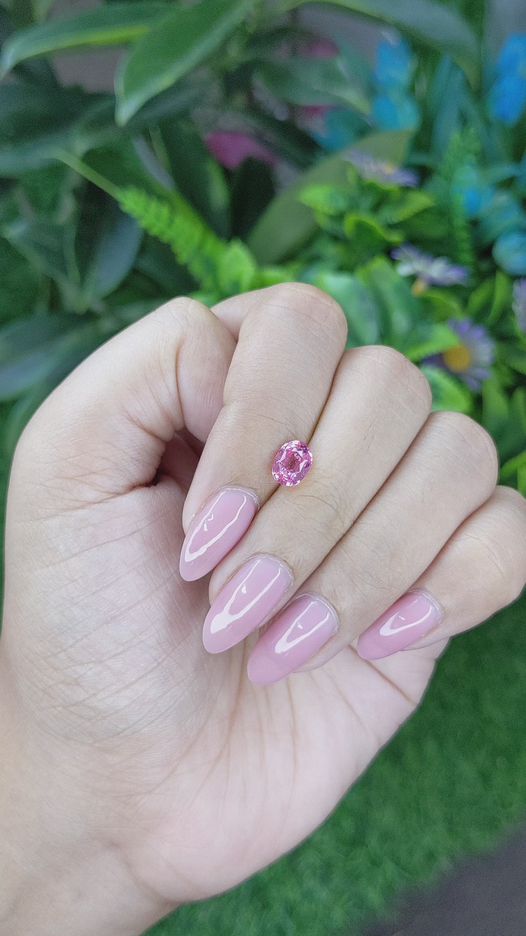 1.50 Ct. Pink Sapphire from Tanzania Size Video