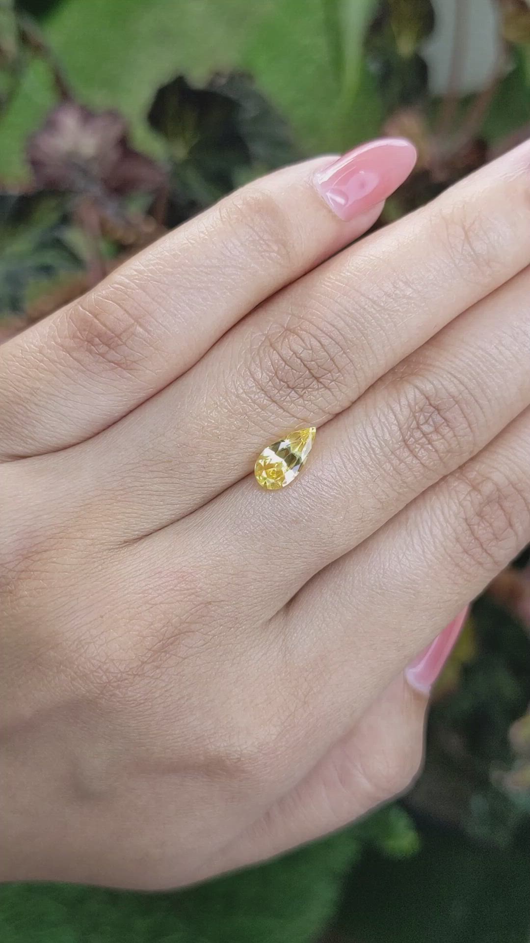 1.30 Ct. Yellow Sapphire from Ceylon (Sri Lanka) Size Video
