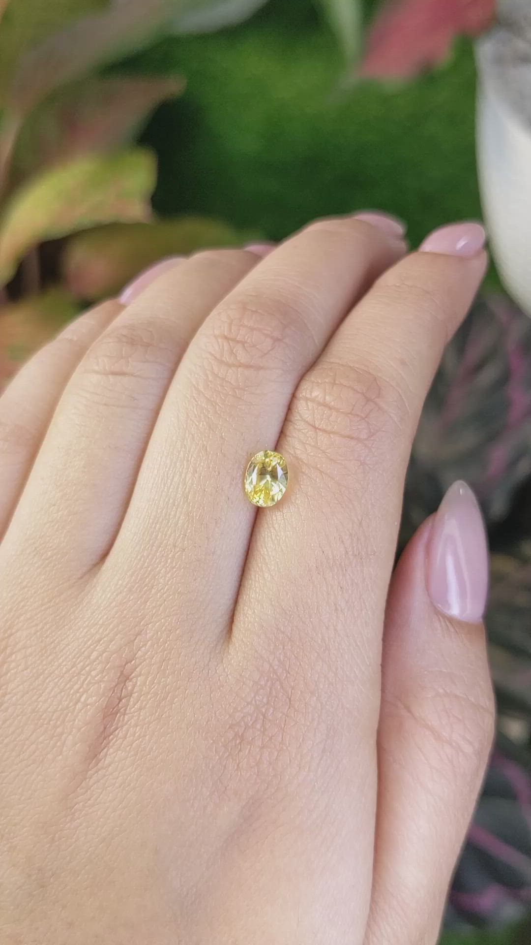 1.33 Ct. Yellow Sapphire from Ceylon (Sri Lanka) Size Video