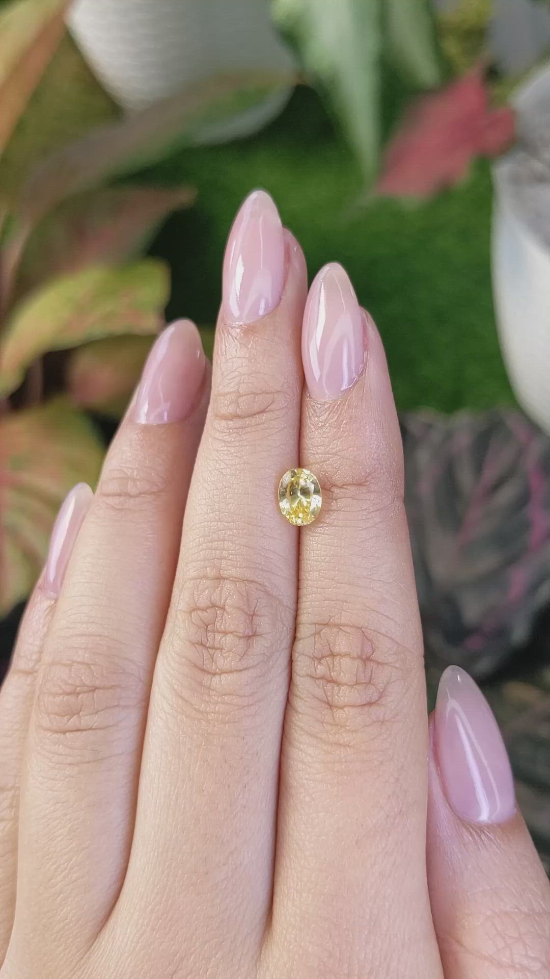 1.33 Ct. Yellow Sapphire from Ceylon (Sri Lanka) Size Video