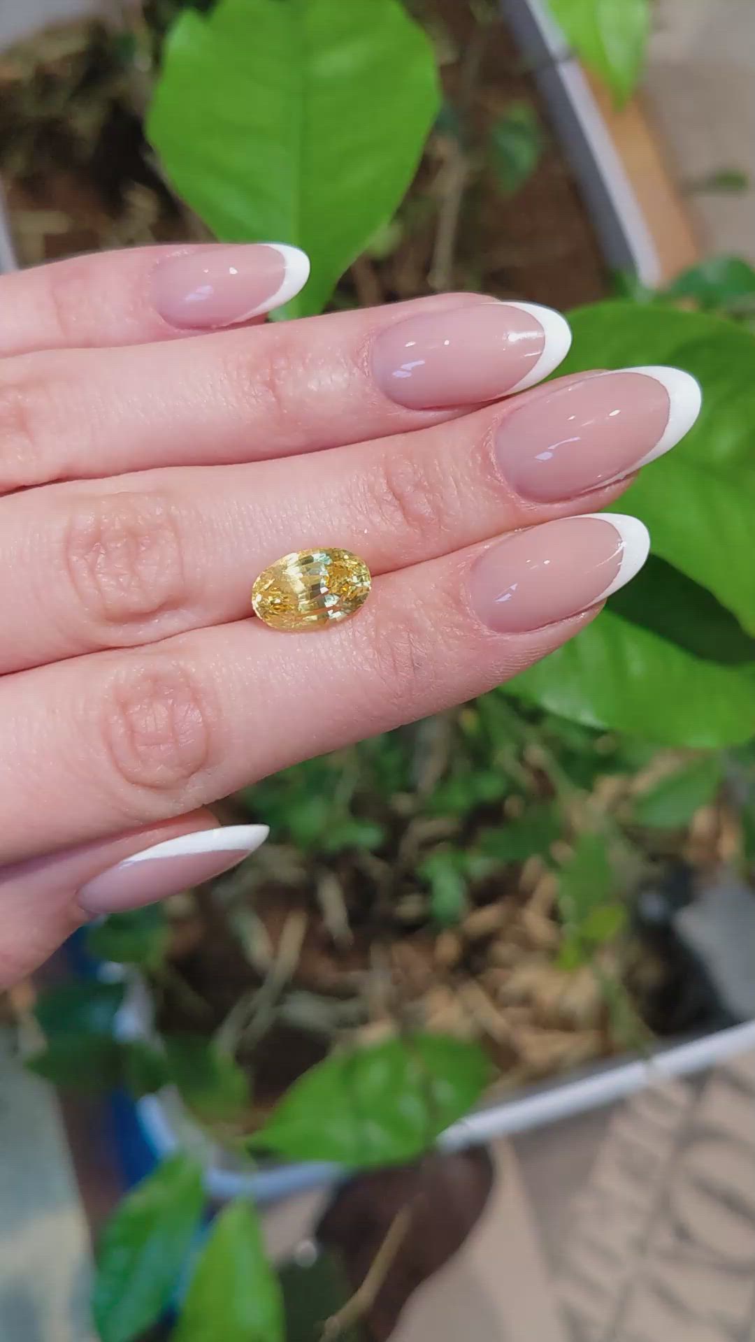 6.92 Ct. Yellow Sapphire from Ceylon (Sri Lanka) Size Video