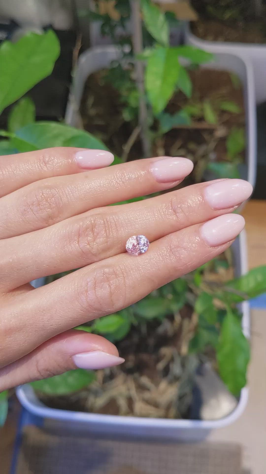 2.33 Ct. Padparadscha Sapphire from Ceylon (Sri Lanka) Size Video