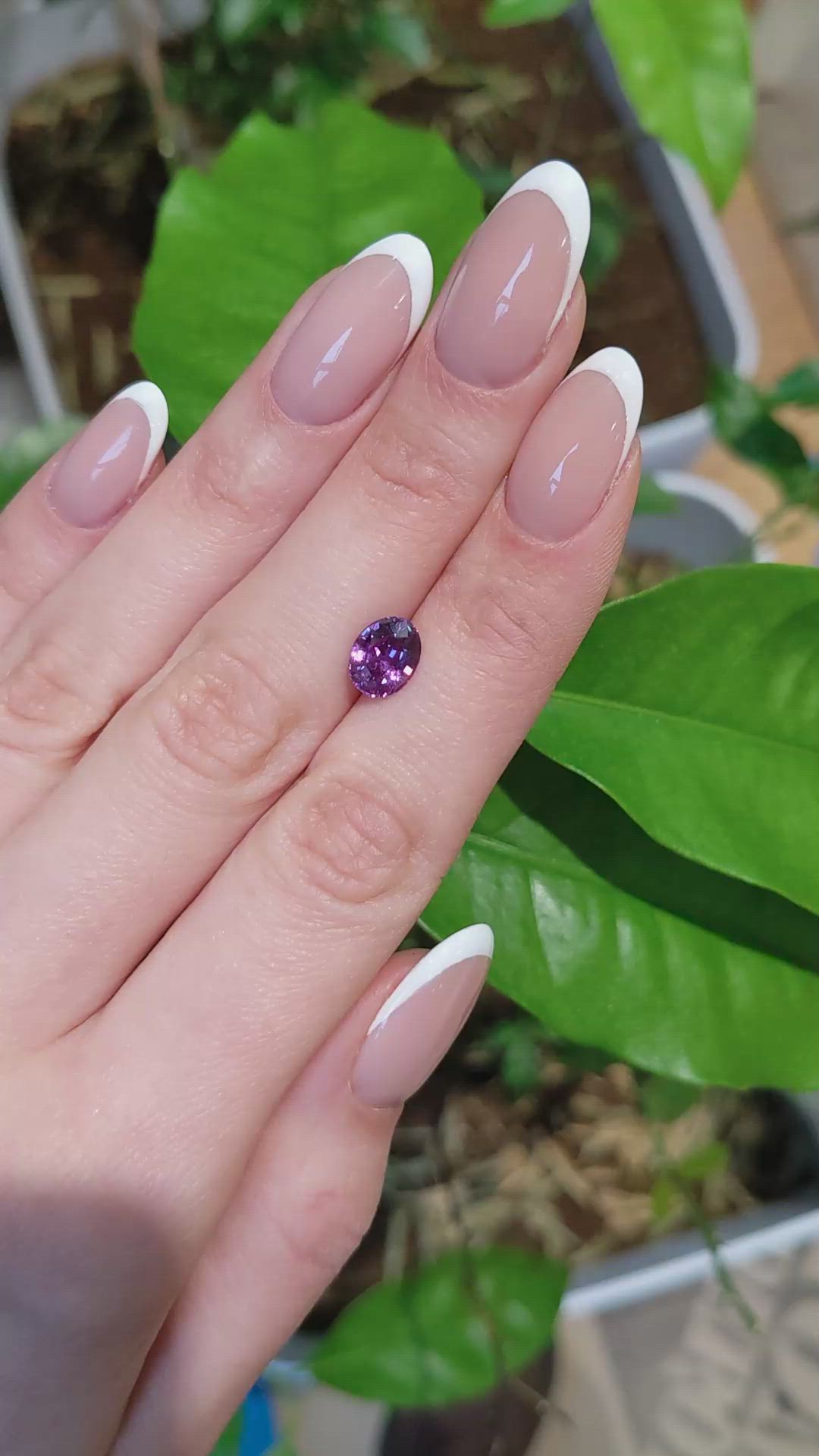 2.24 Ct. Purple Sapphire from Ceylon (Sri Lanka) Size Video