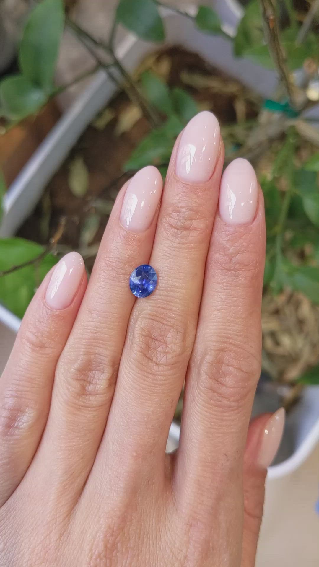 1.79 Ct. Blue Sapphire from Ceylon (Sri Lanka) Size Video