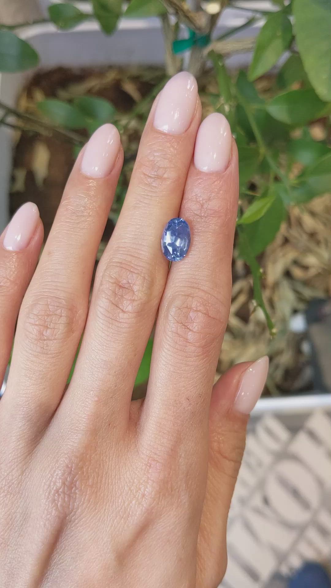 3.76 Ct. Blue Sapphire from Ceylon (Sri Lanka) Size Video