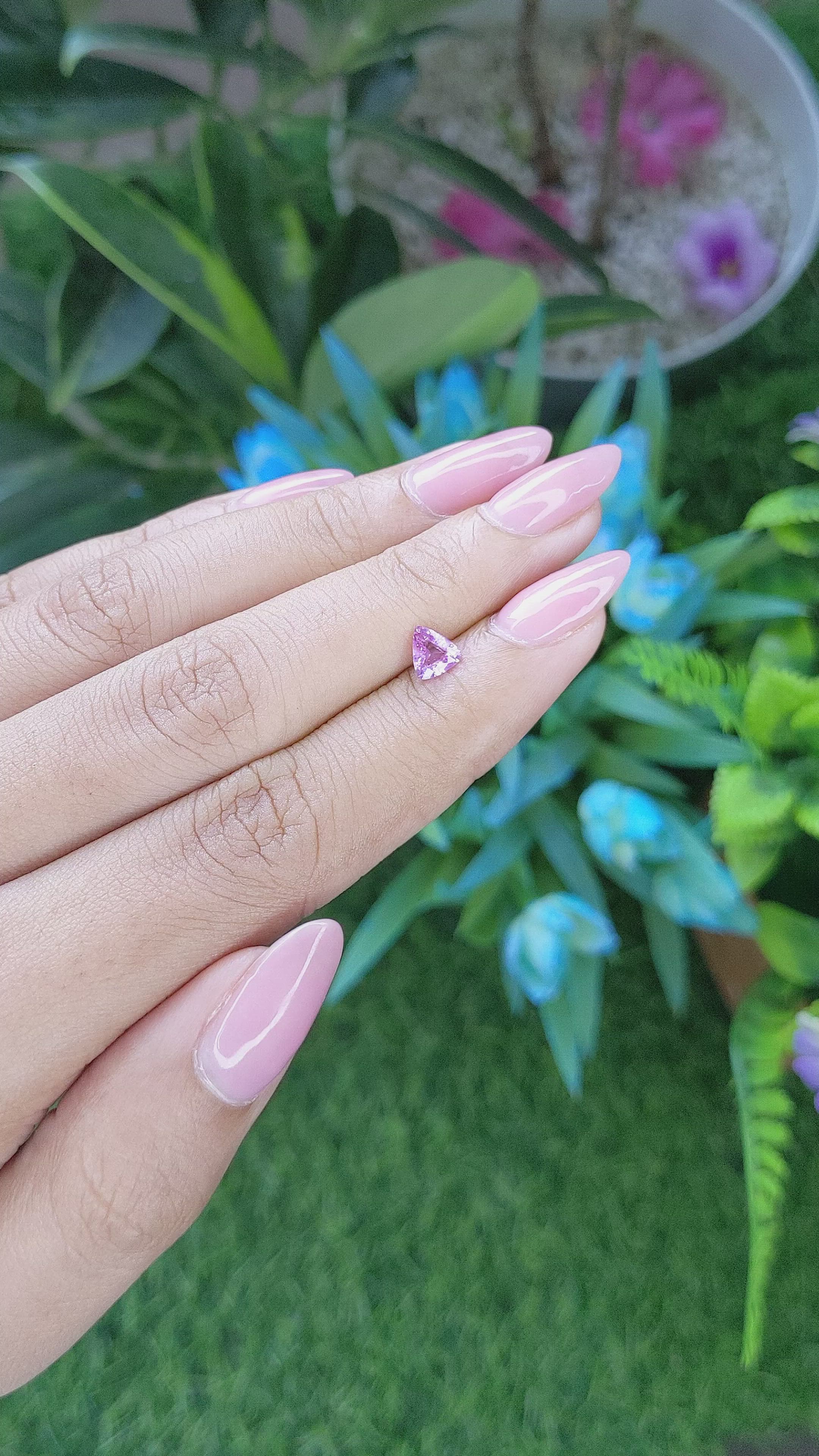 0.51 Ct. Purplish Pink Sapphire from Tanzania Size Video