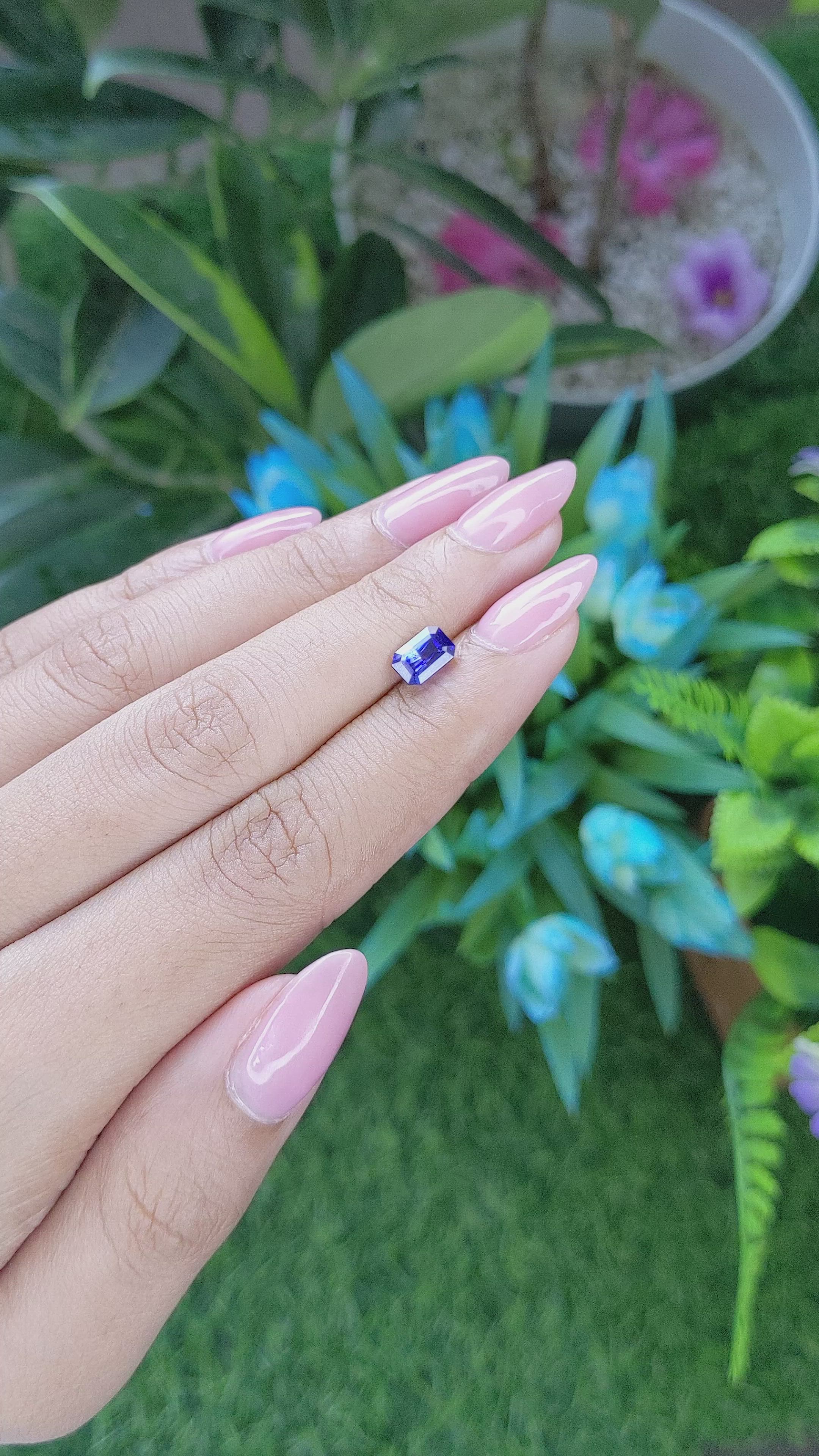 1.31 Ct. Bi Color / Parti Sapphire from Tanzania Size Video