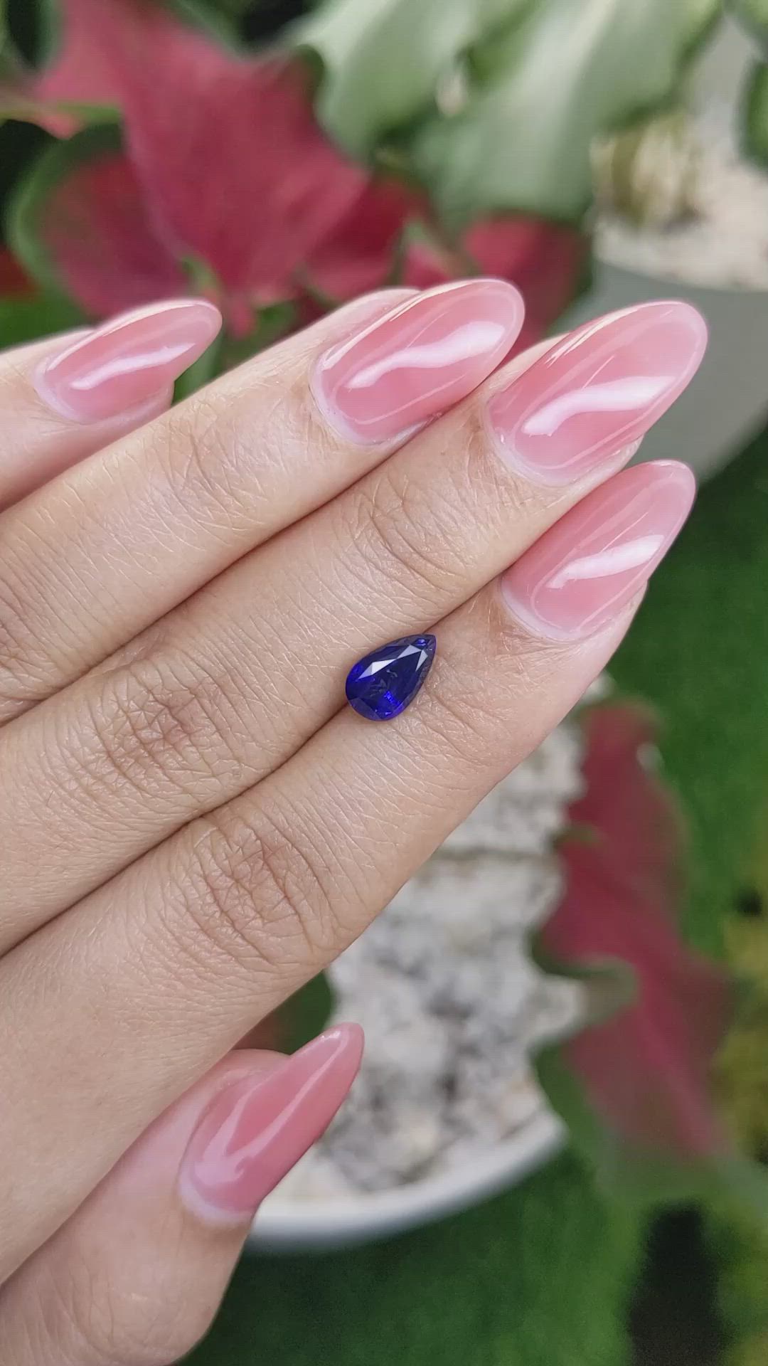 1.65 Ct. Blue Sapphire from Ceylon (Sri Lanka) Size Video