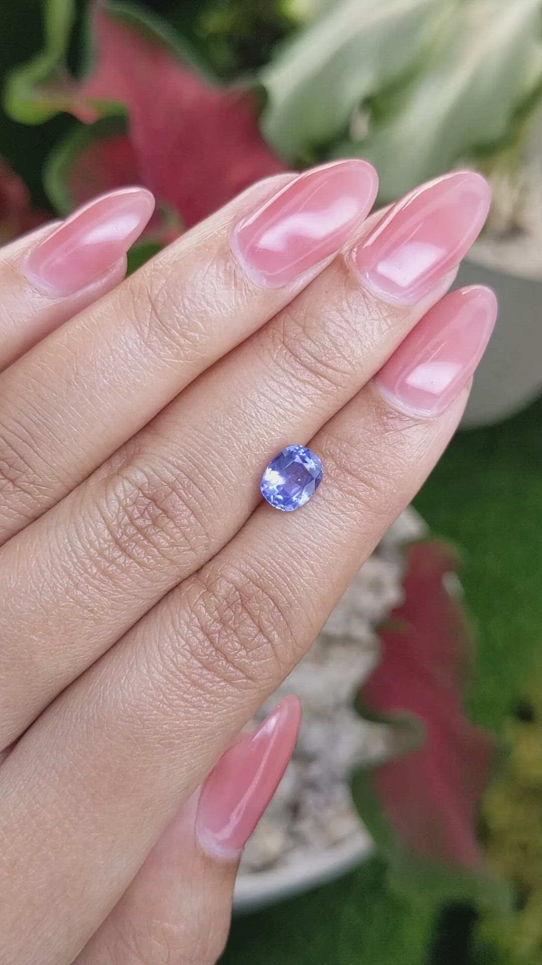 1.68 Ct. Blue Sapphire from Ceylon (Sri Lanka) Size Video