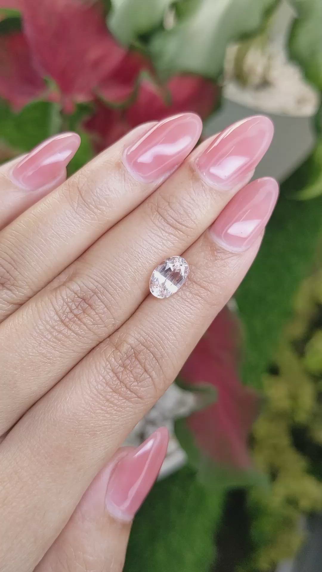 2.34 Ct. Peach Sapphire from Ceylon (Sri Lanka) Size Video