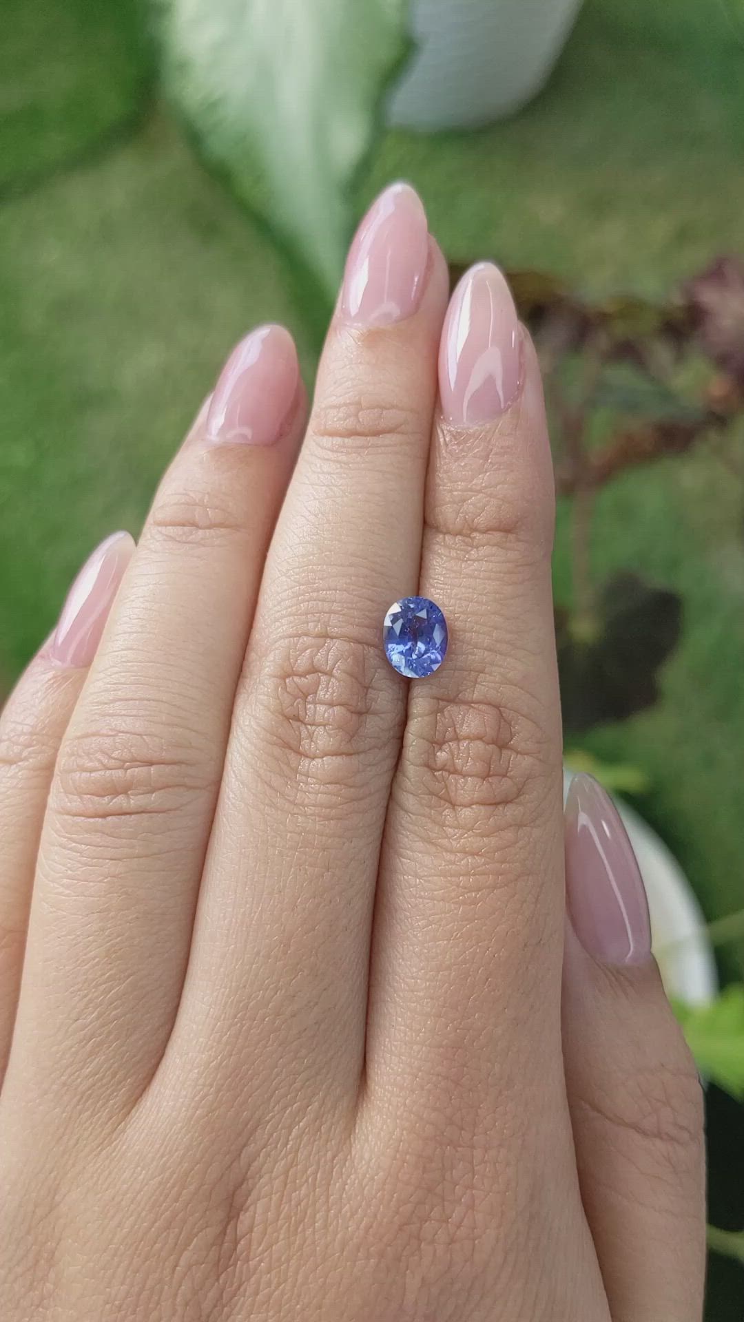 1.47 Ct. Blue Sapphire from Ceylon (Sri Lanka) Size Video