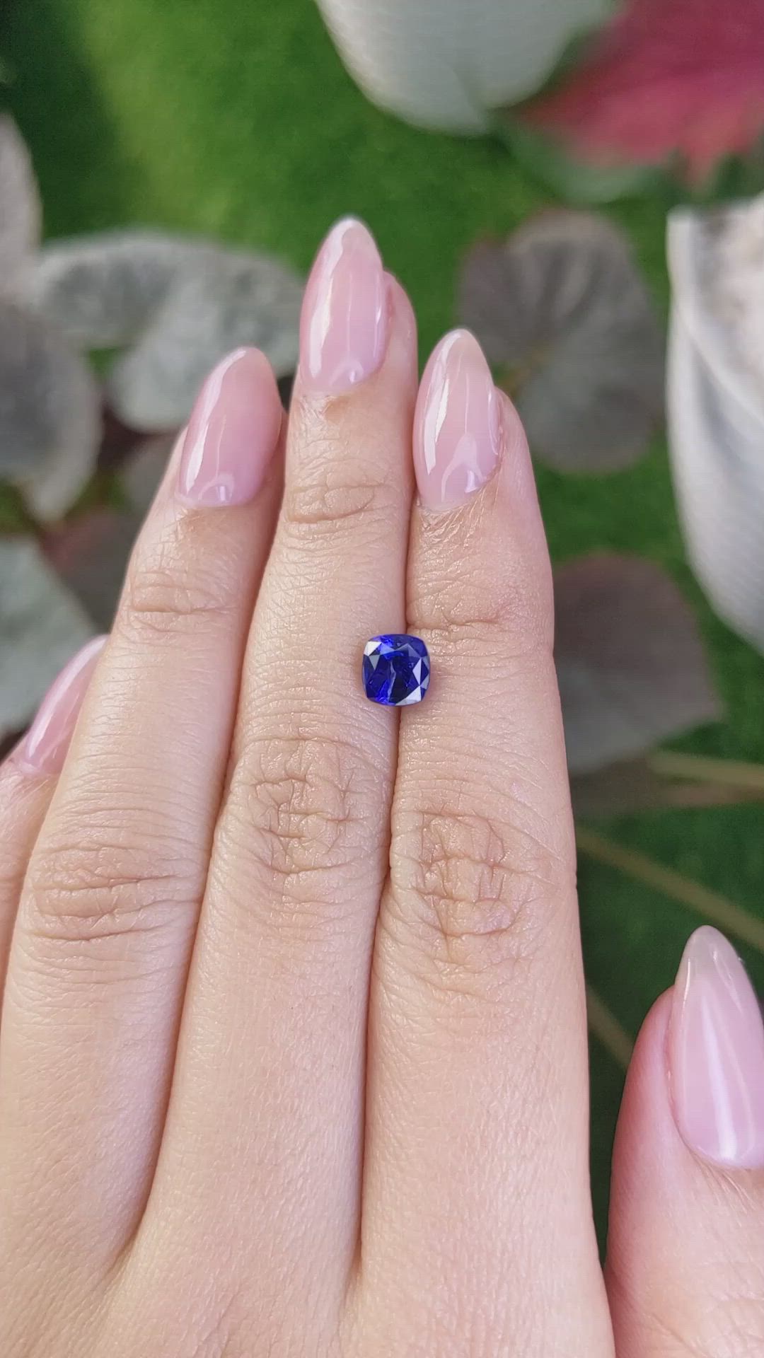 1.57 Ct. Blue Sapphire from Ceylon (Sri Lanka) Size Video