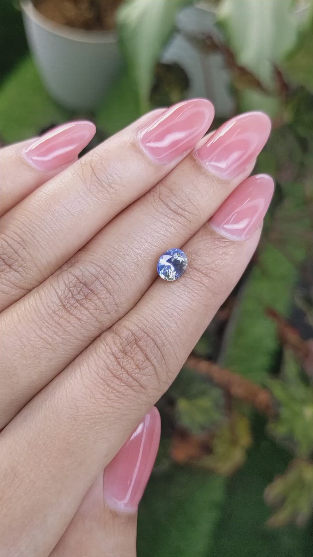 1.42 Ct. Bi Color Sapphire from Ceylon (Sri Lanka) Size Video