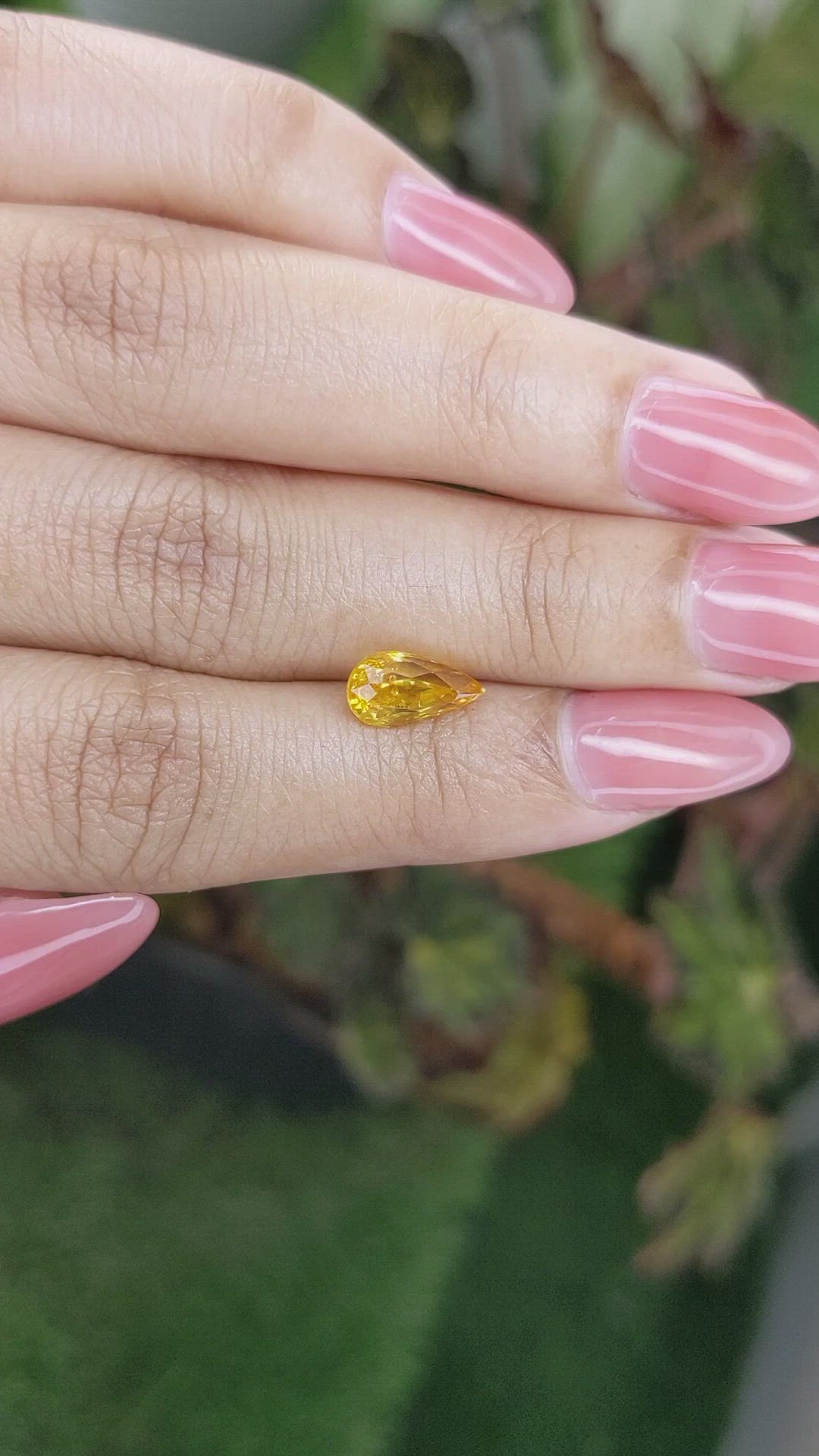 2.00 Ct. Yellowish Orange Sapphire from Ceylon (Sri Lanka) Size Video