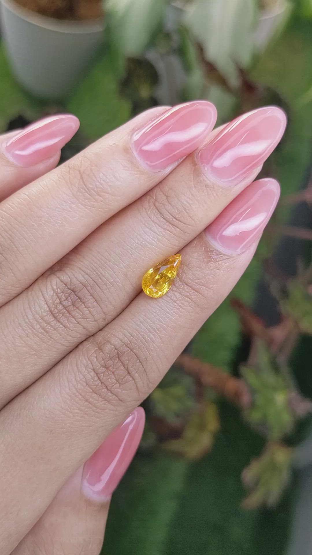 2.00 Ct. Yellowish Orange Sapphire from Ceylon (Sri Lanka) Size Video