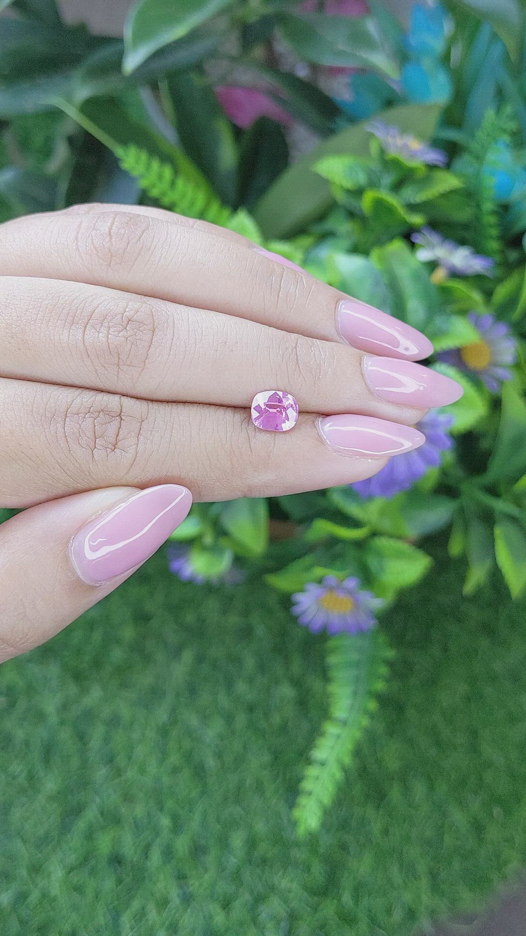 1.26 Ct. Purplish Pink Sapphire from Ceylon (Sri Lanka) Size Video