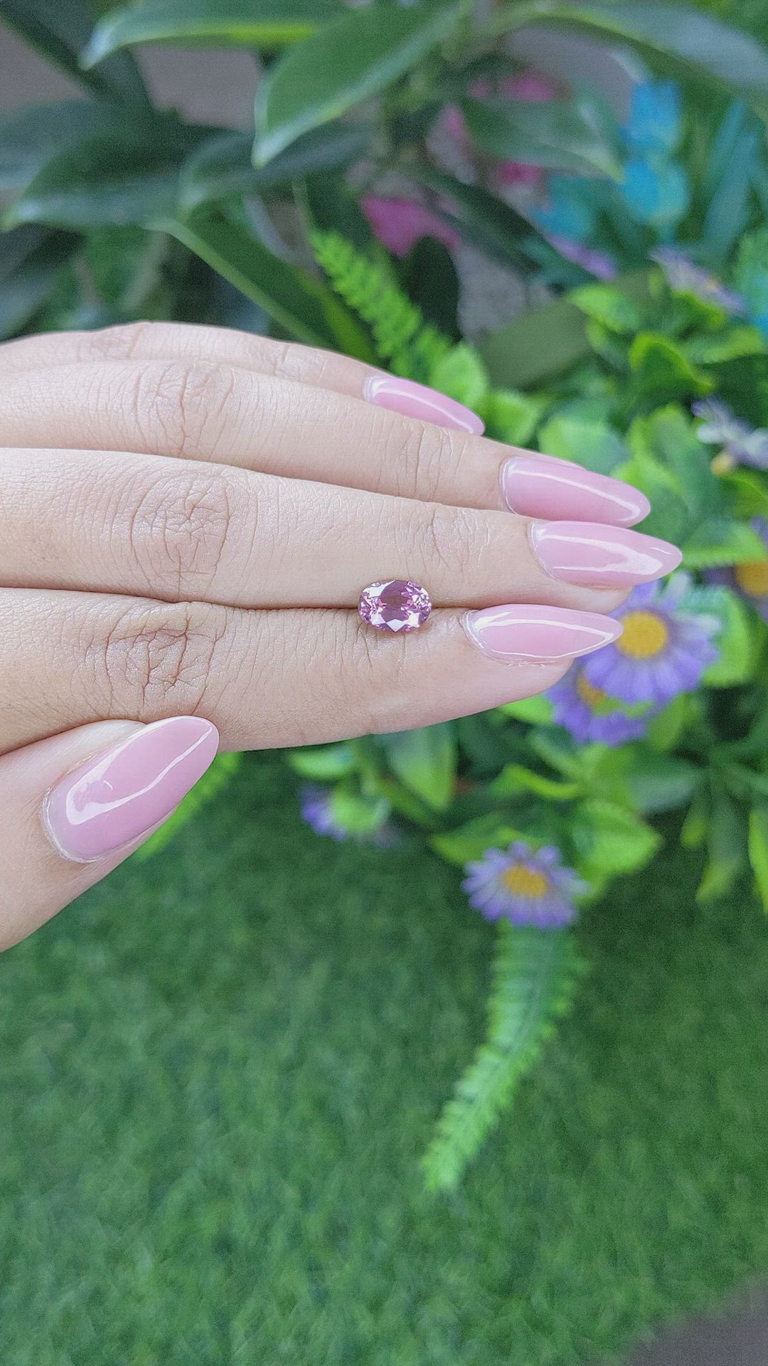 1.32 Ct. Purplish Pink Sapphire from Ceylon (Sri Lanka) Size Video