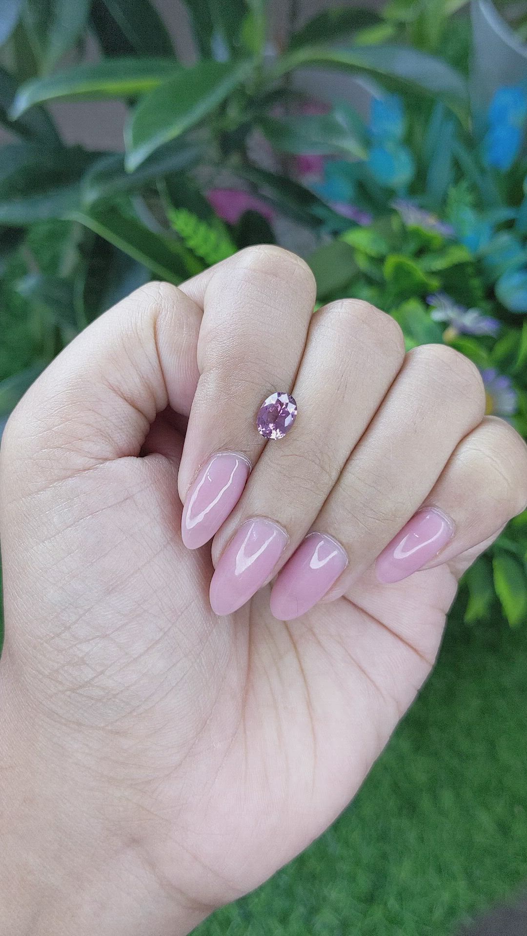 1.32 Ct. Purplish Pink Sapphire from Ceylon (Sri Lanka) Size Video