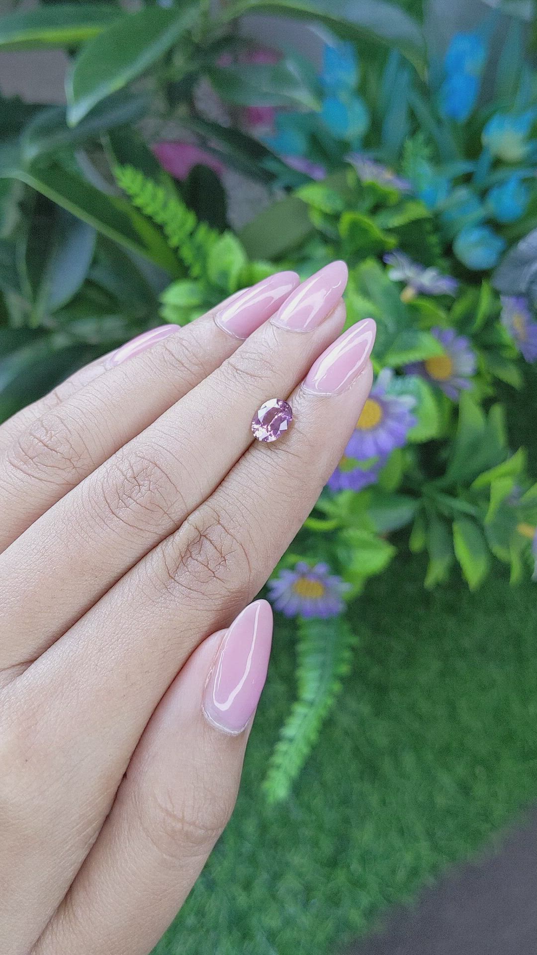 1.32 Ct. Purplish Pink Sapphire from Ceylon (Sri Lanka) Size Video