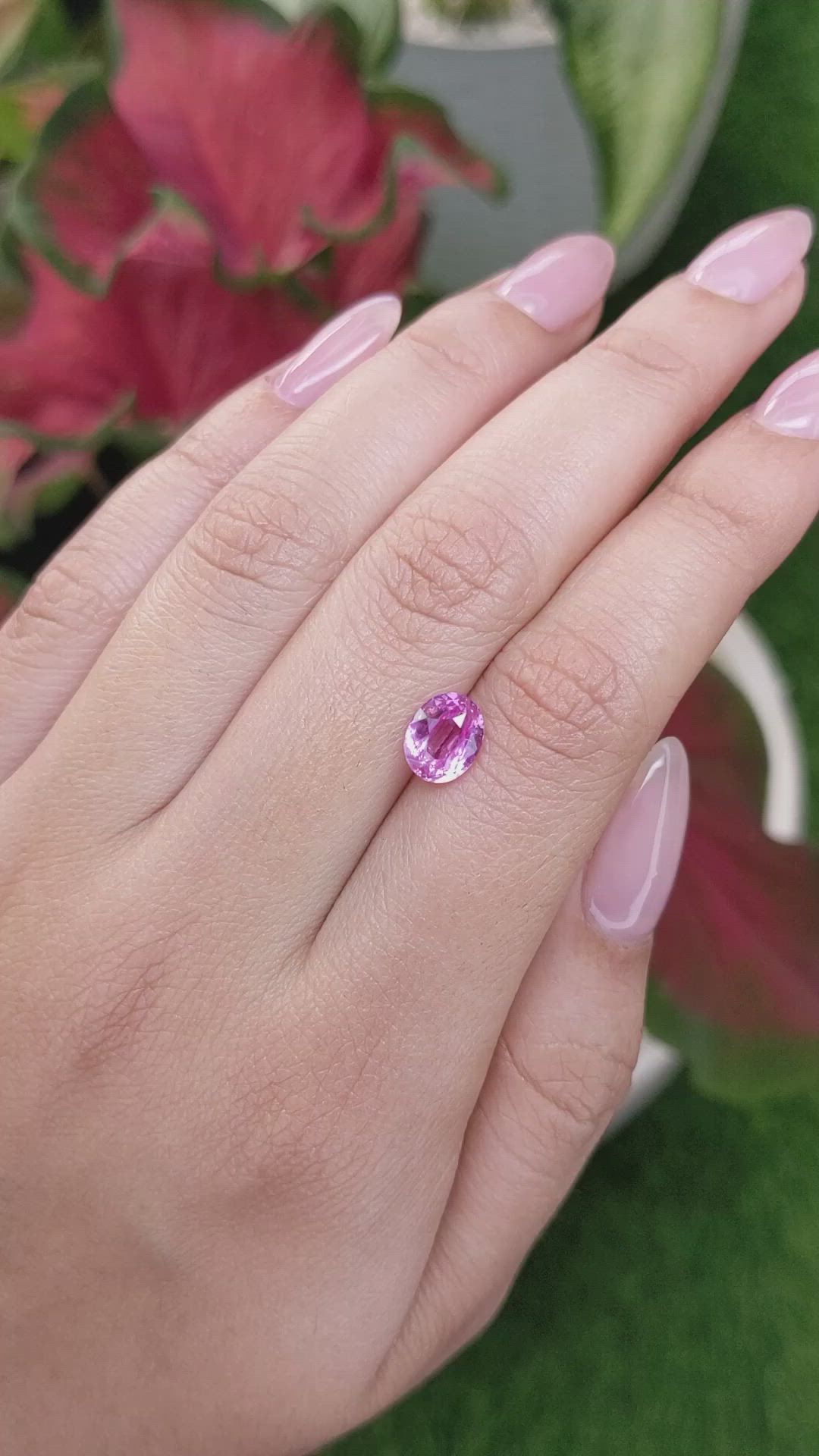 2.04 Ct. Purplish Pink Sapphire from Ceylon (Sri Lanka) Size Video