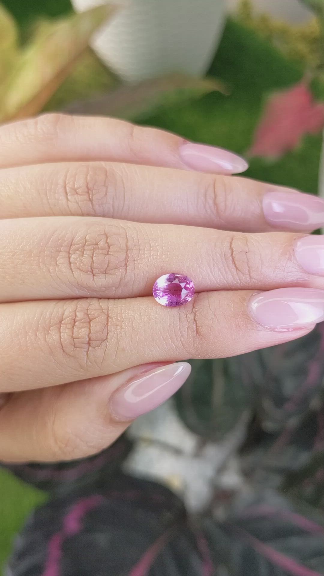 2.04 Ct. Purplish Pink Sapphire from Ceylon (Sri Lanka) Size Video