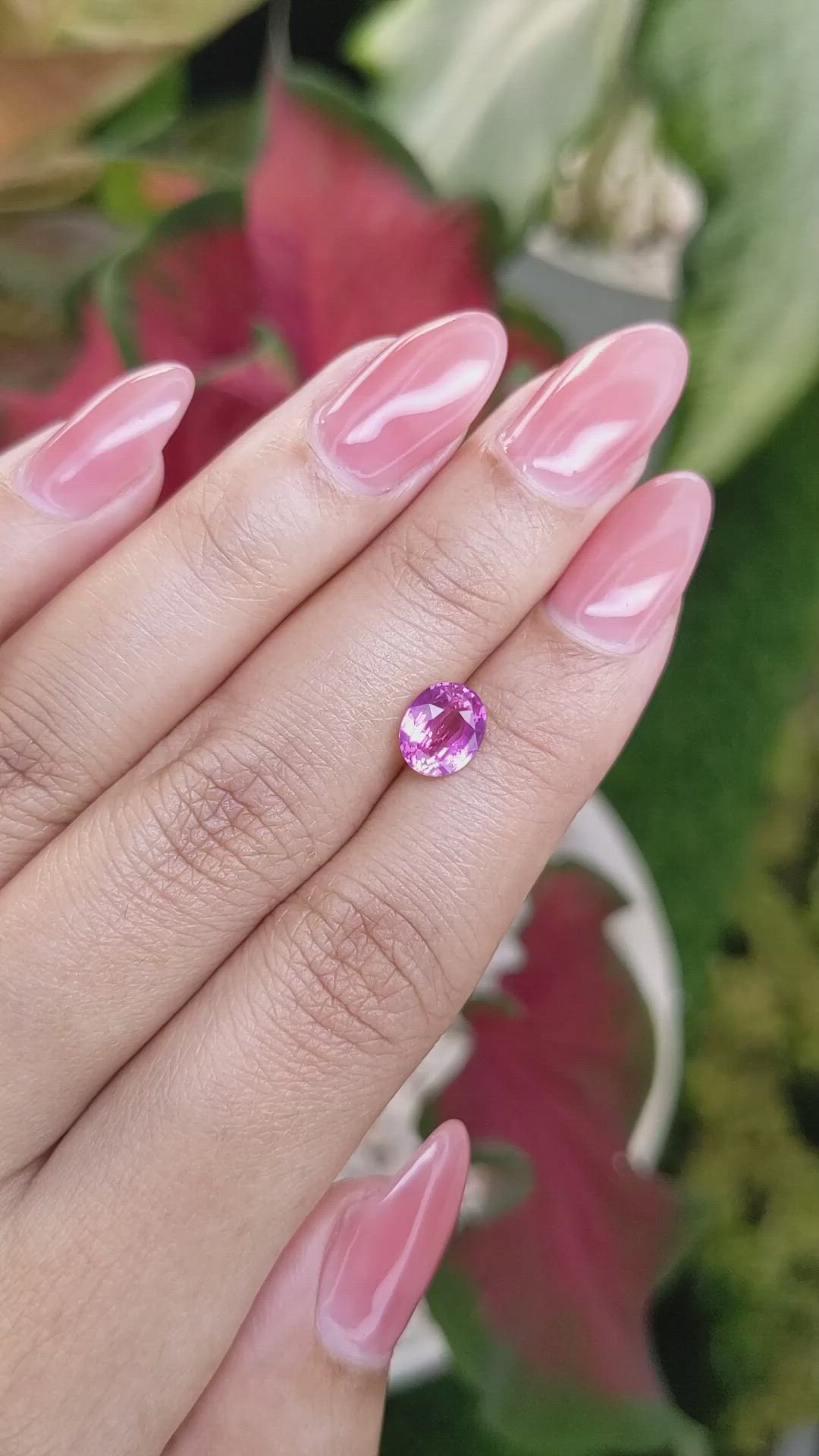 1.65 Ct. Purplish Pink Sapphire from Ceylon (Sri Lanka) Size Video