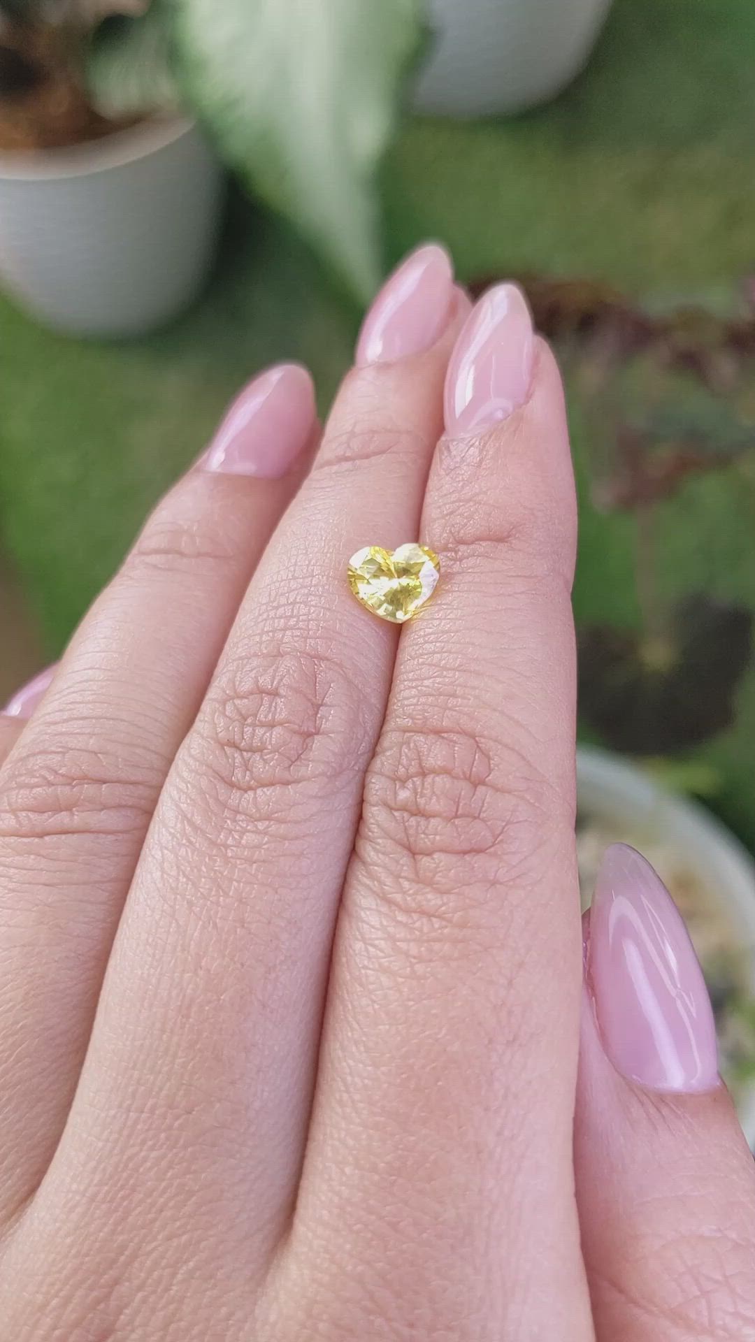 1.59 Ct. Yellow Sapphire from Ceylon (Sri Lanka) Size Video