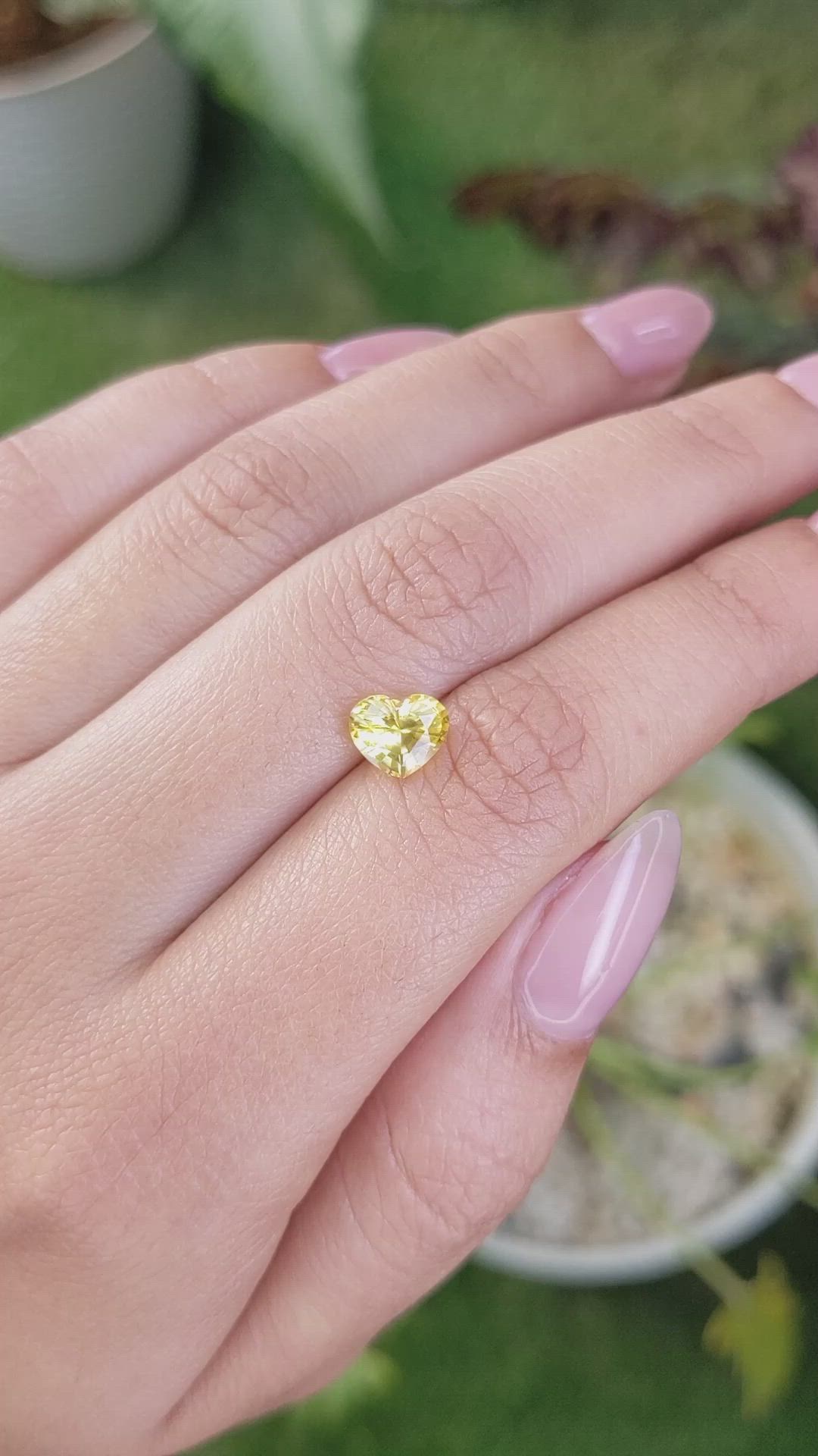 1.59 Ct. Yellow Sapphire from Ceylon (Sri Lanka) Size Video