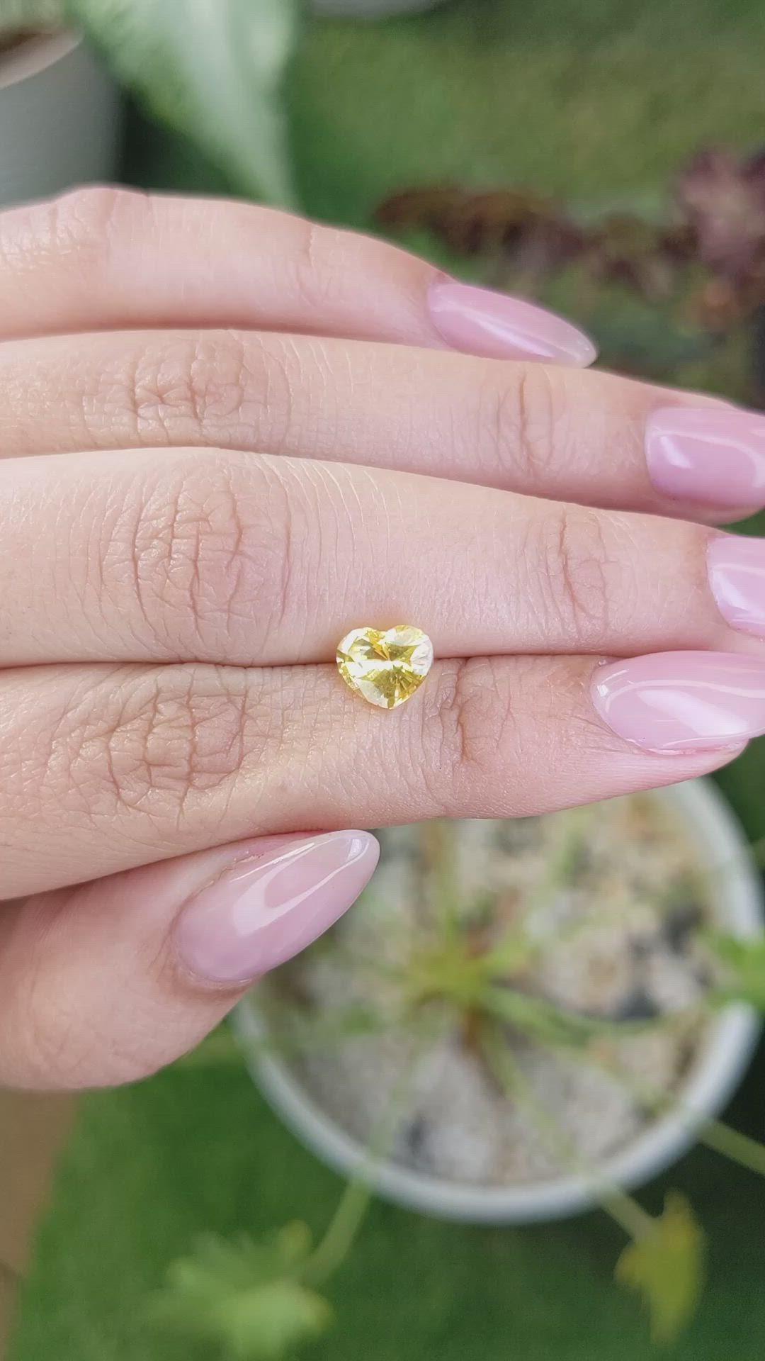 1.59 Ct. Yellow Sapphire from Ceylon (Sri Lanka) Size Video