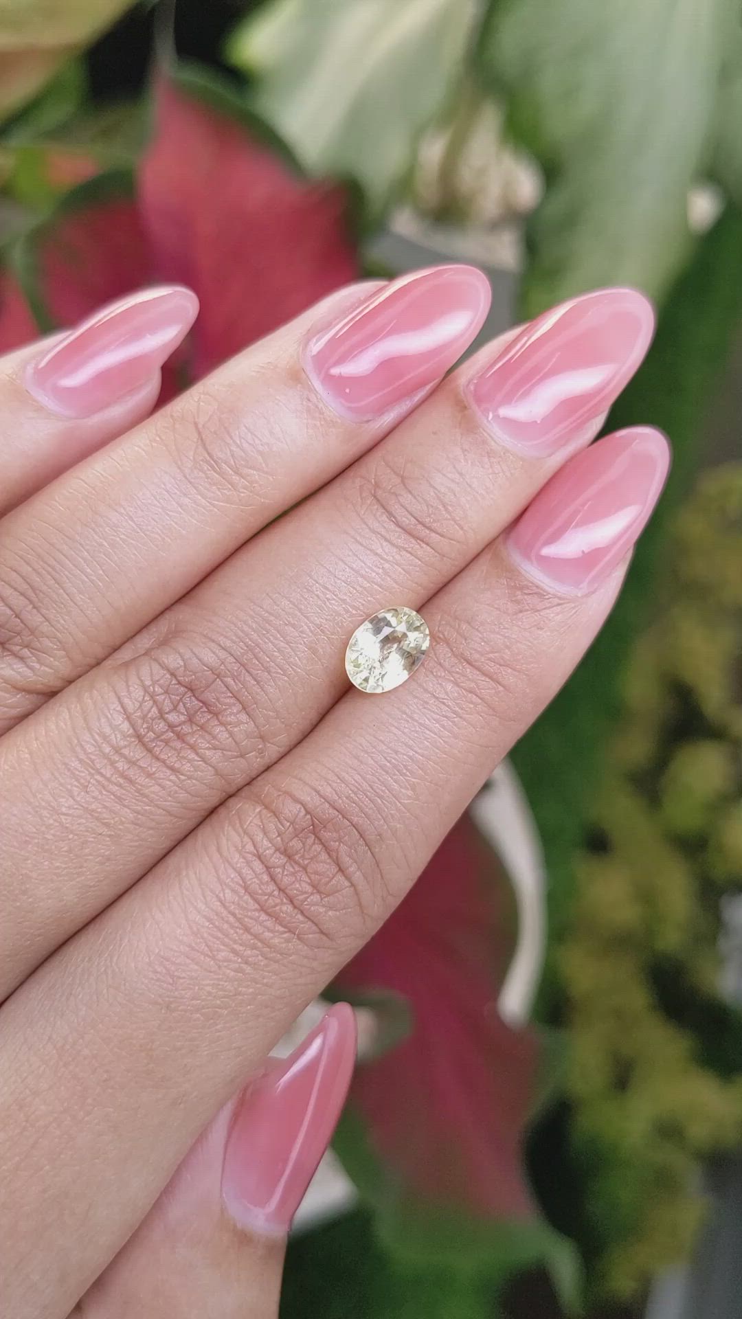 1.55 Ct. Yellow Sapphire from Ceylon (Sri Lanka) Size Video