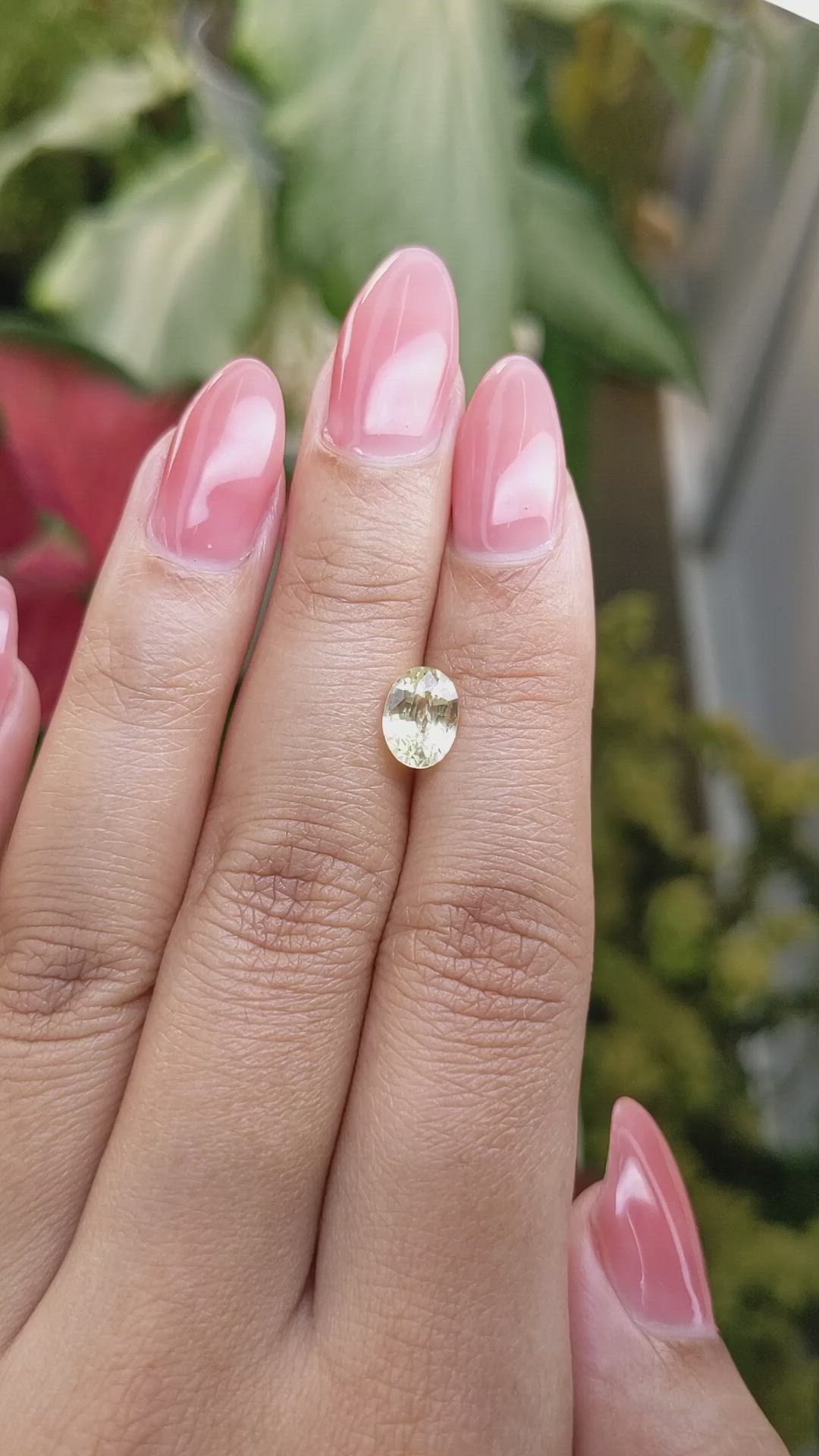 1.55 Ct. Yellow Sapphire from Ceylon (Sri Lanka) Size Video