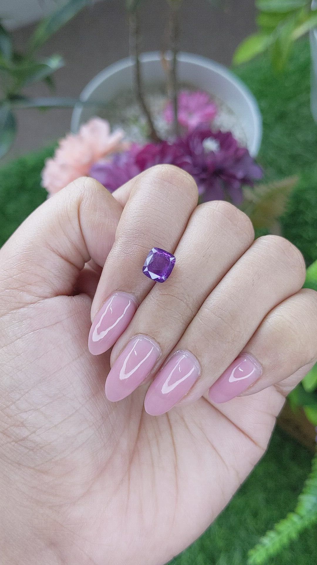 2.50 Ct. Purple Sapphire from Ceylon (Sri Lanka) Size Video