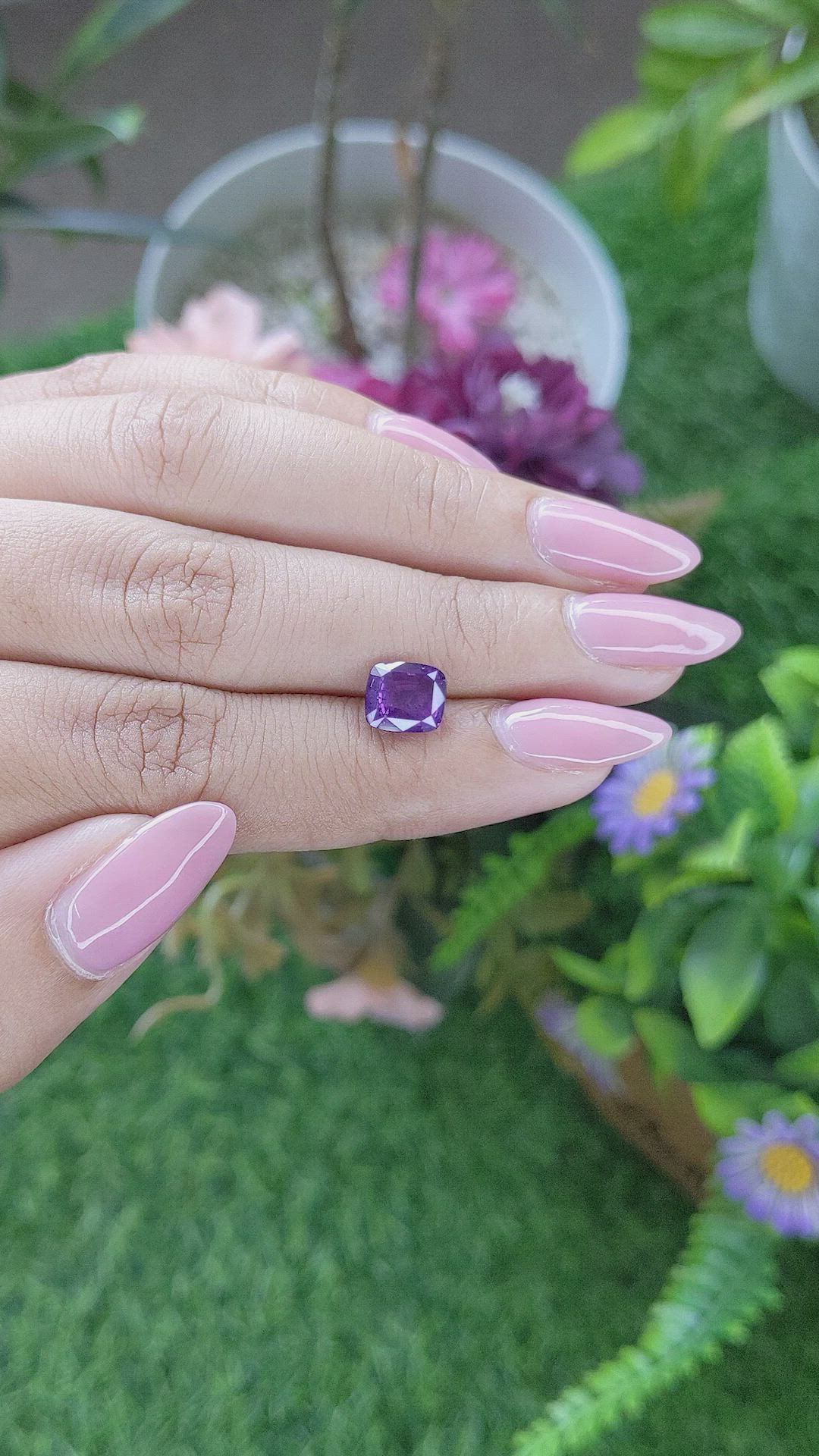 2.50 Ct. Purple Sapphire from Ceylon (Sri Lanka) Size Video