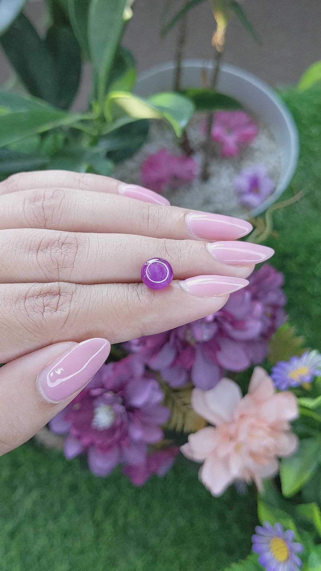4.06 Ct. Purplish Pink Star Sapphire from Ceylon (Sri Lanka) Size Video