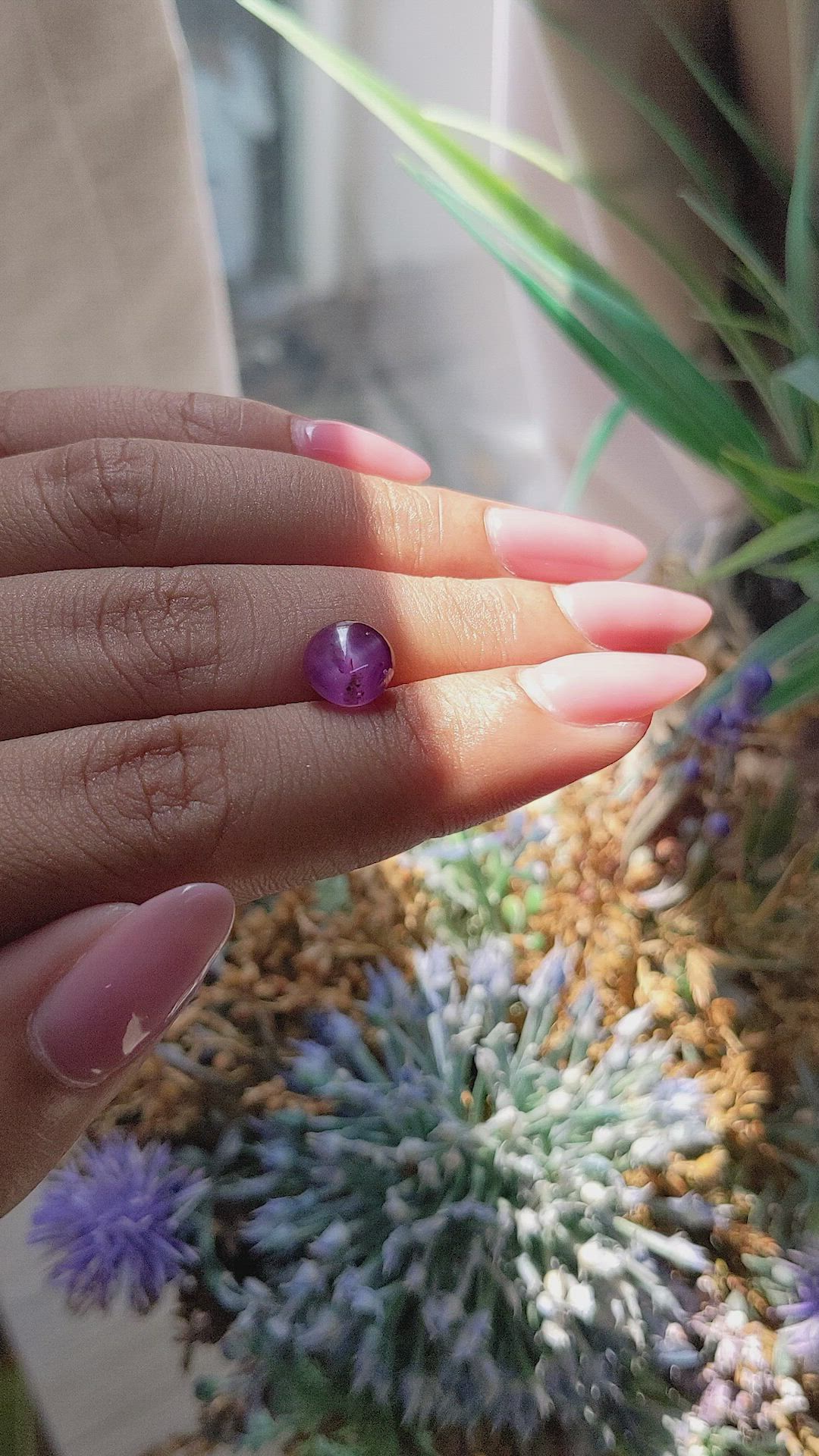 4.06 Ct. Purplish Pink Star Sapphire from Ceylon (Sri Lanka) Size Video
