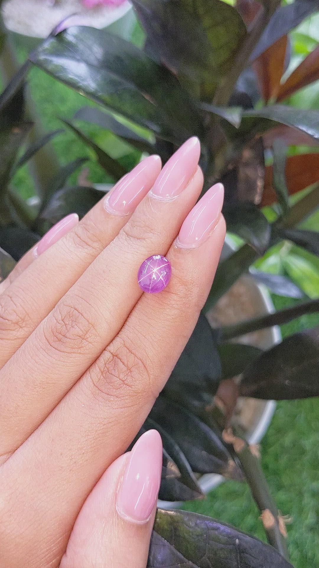 5.06 Ct. Purplish Pink Star Sapphire from Ceylon (Sri Lanka) Size Video