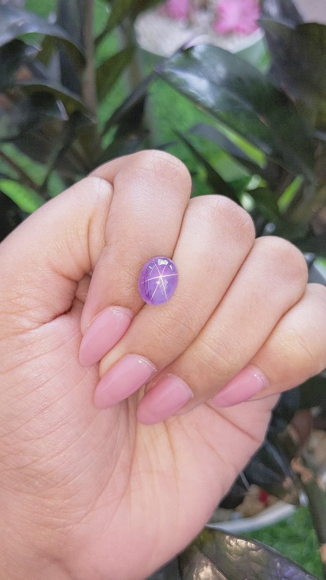 6.53 Ct. Bluish Purple Star Sapphire from Ceylon (Sri Lanka) Size Video