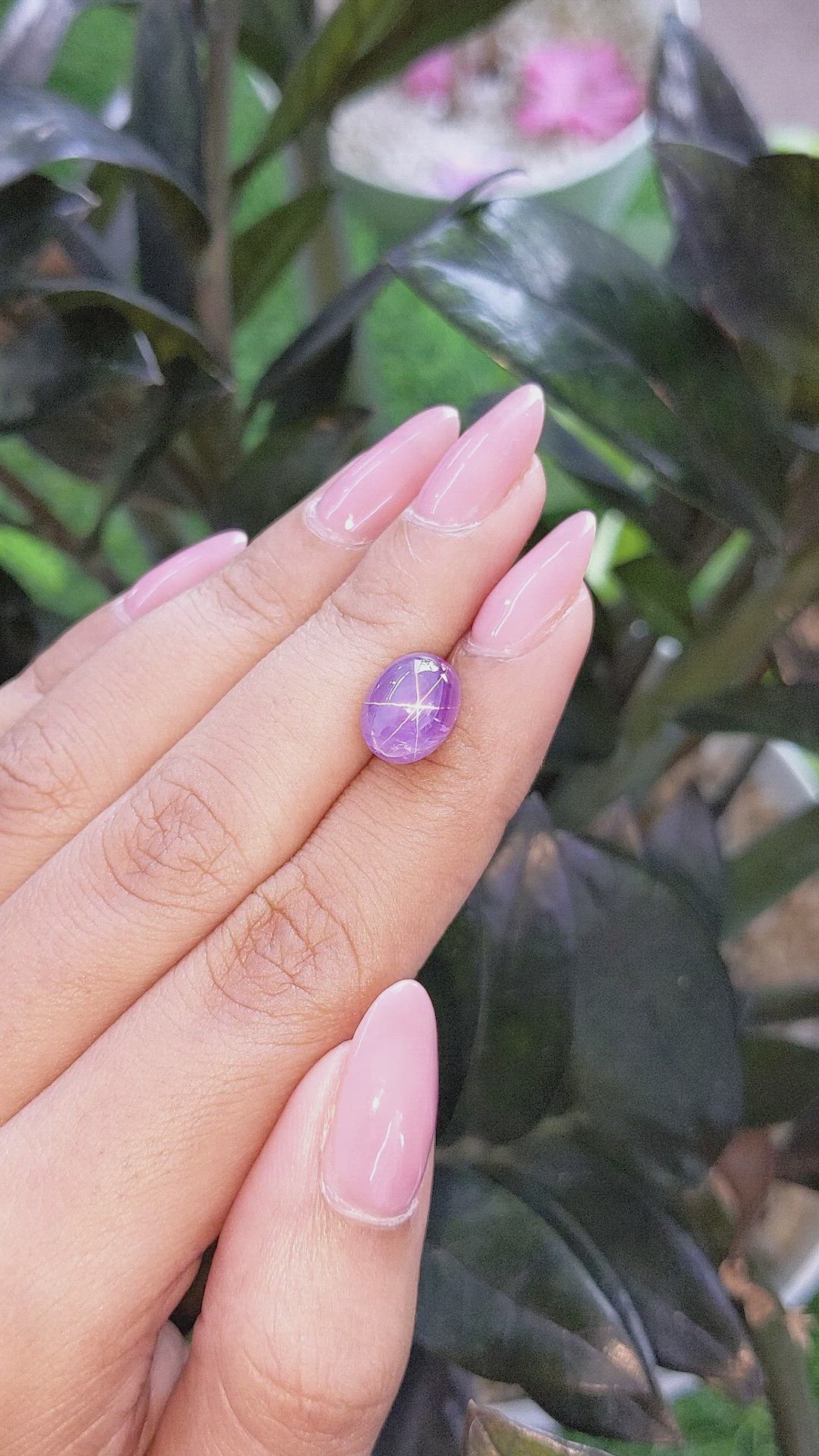 6.53 Ct. Bluish Purple Star Sapphire from Ceylon (Sri Lanka) Size Video