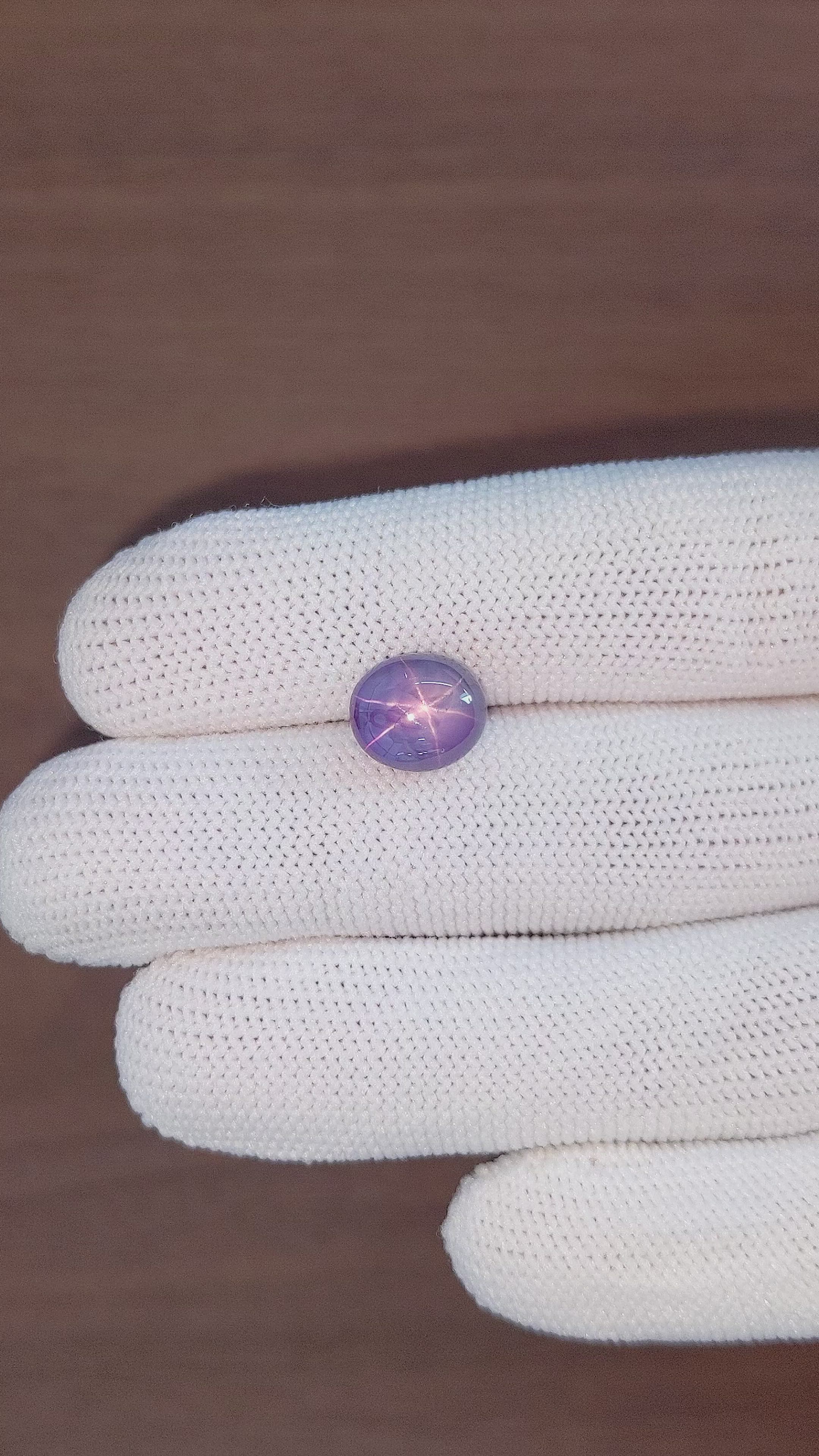 6.52 Ct. Violet Star Sapphire from Ceylon (Sri Lanka) Size Video