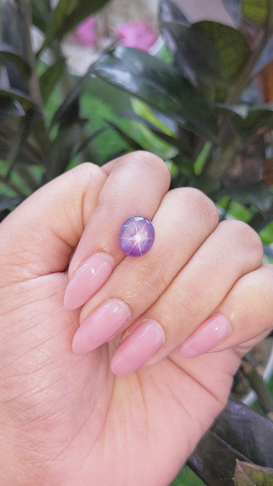 6.52 Ct. Violet Star Sapphire from Ceylon (Sri Lanka) Size Video