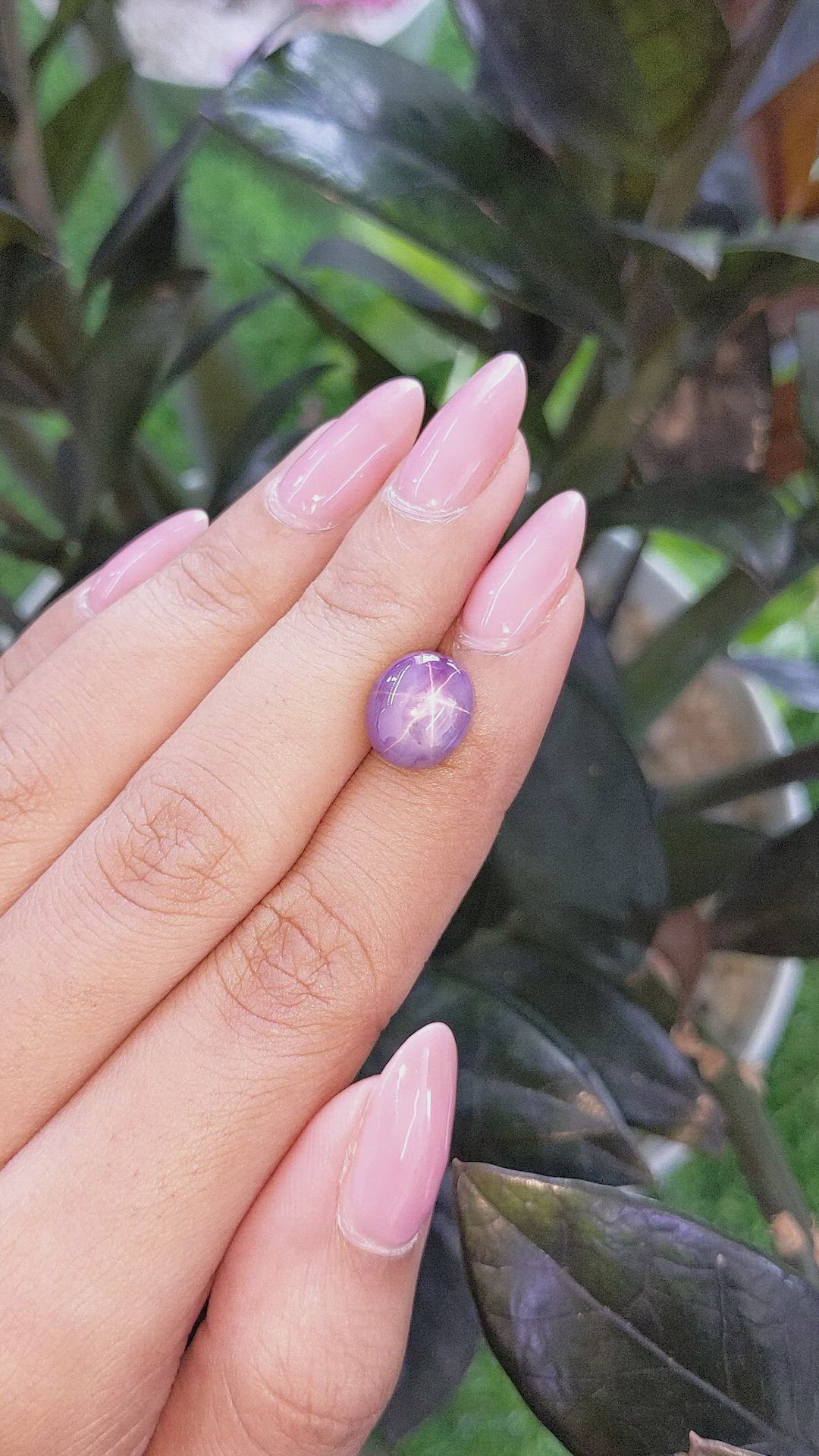 6.52 Ct. Violet Star Sapphire from Ceylon (Sri Lanka) Size Video