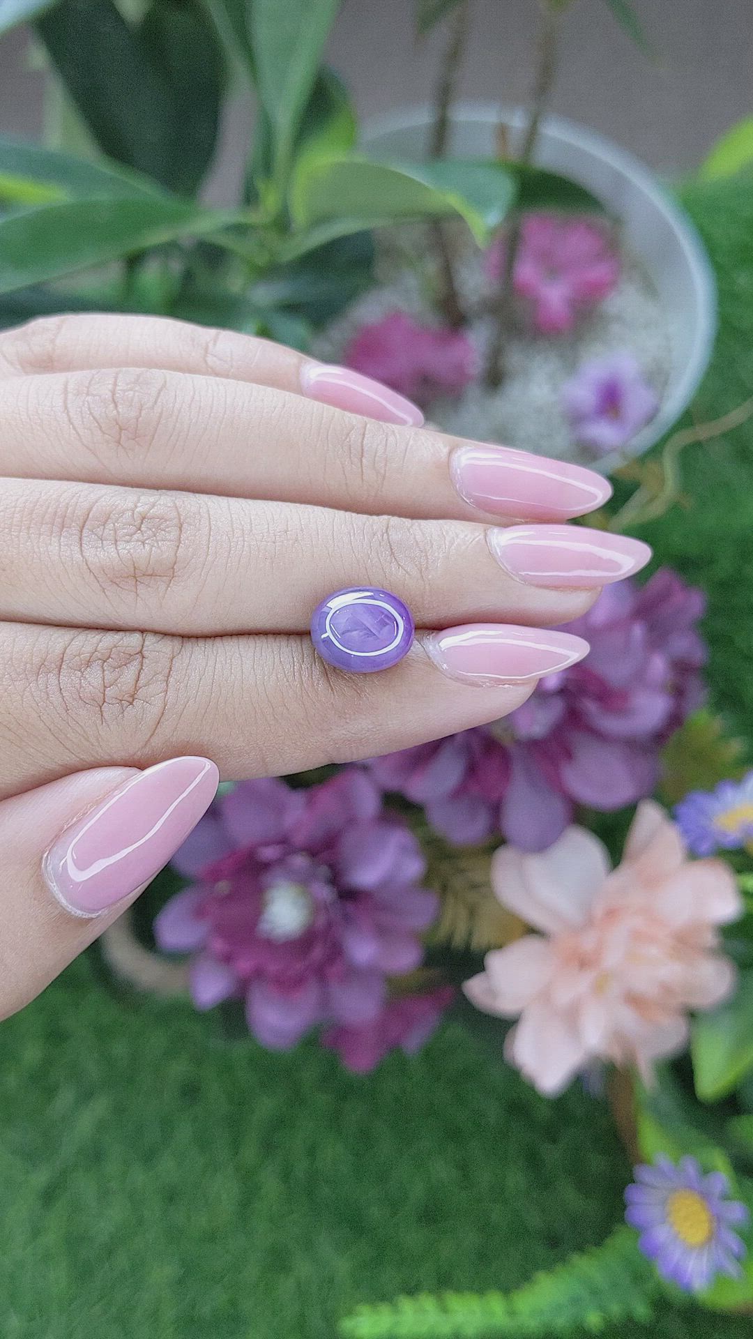 6.52 Ct. Violet Star Sapphire from Ceylon (Sri Lanka) Size Video