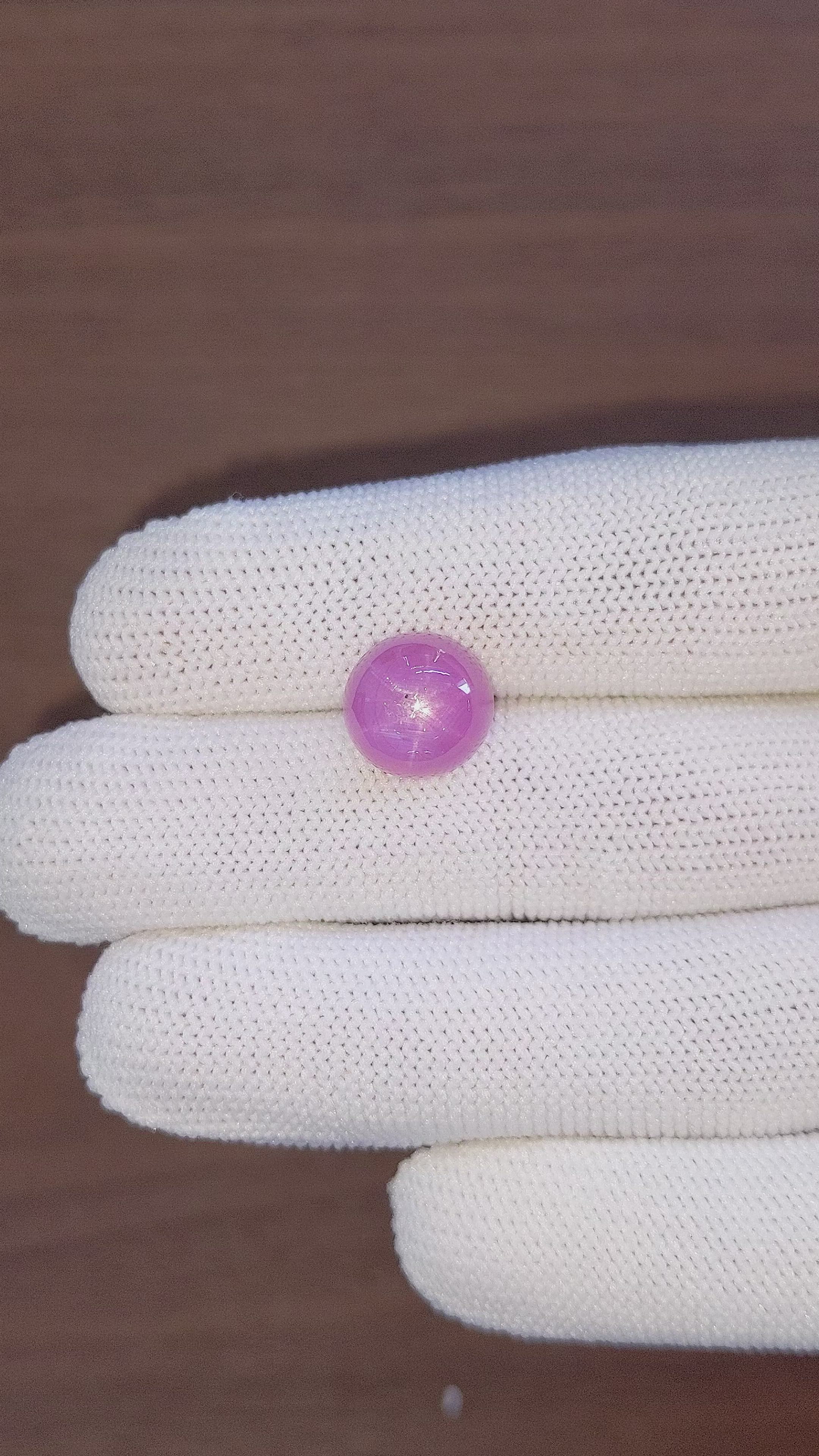 8.79 Ct. Purplish Pink Star Sapphire from Ceylon (Sri Lanka) Size Video