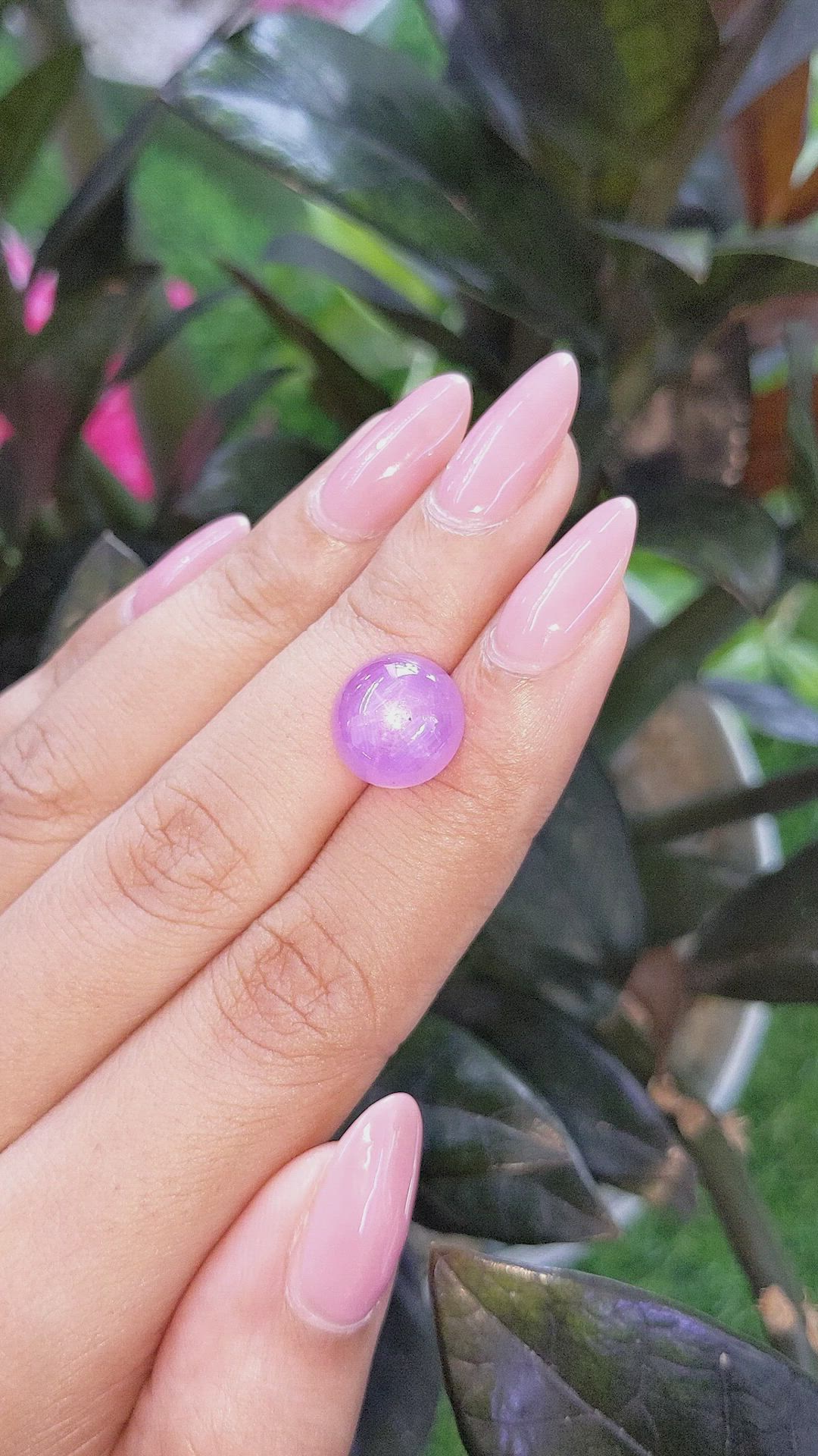 8.79 Ct. Purplish Pink Star Sapphire from Ceylon (Sri Lanka) Size Video