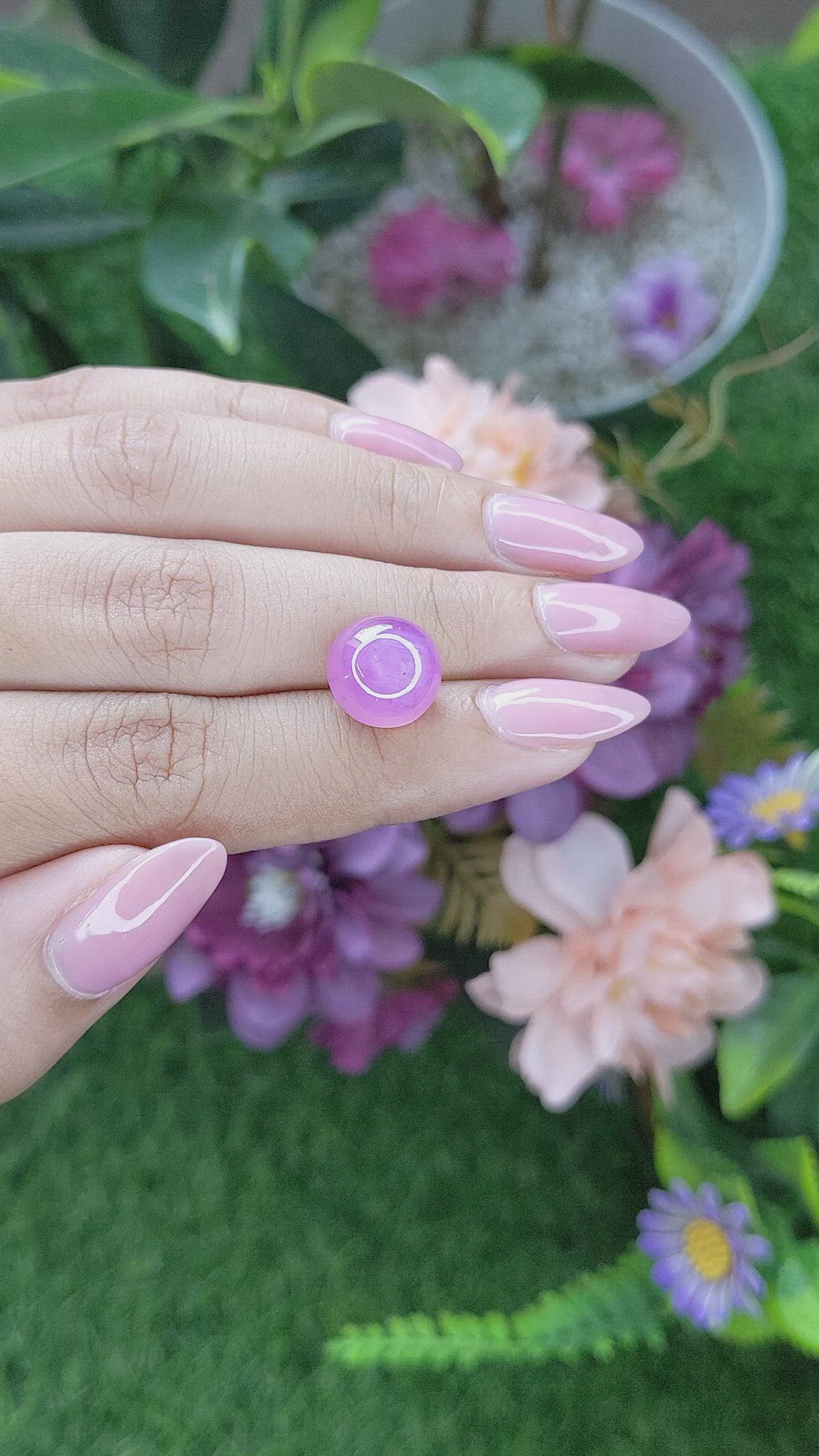 8.79 Ct. Purplish Pink Star Sapphire from Ceylon (Sri Lanka) Size Video