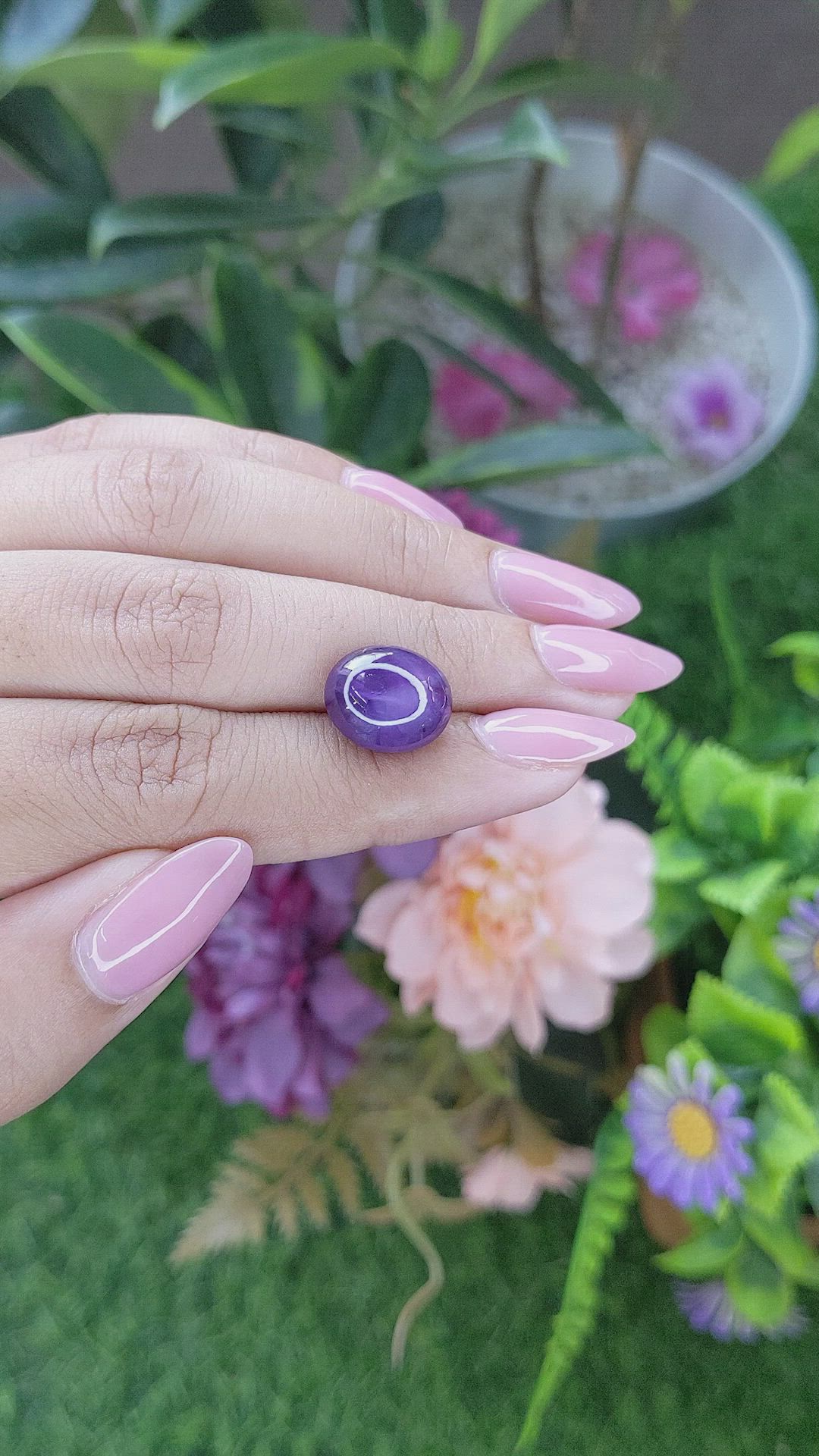 9.88 Ct. Purple Star Sapphire from Ceylon (Sri Lanka) Size Video