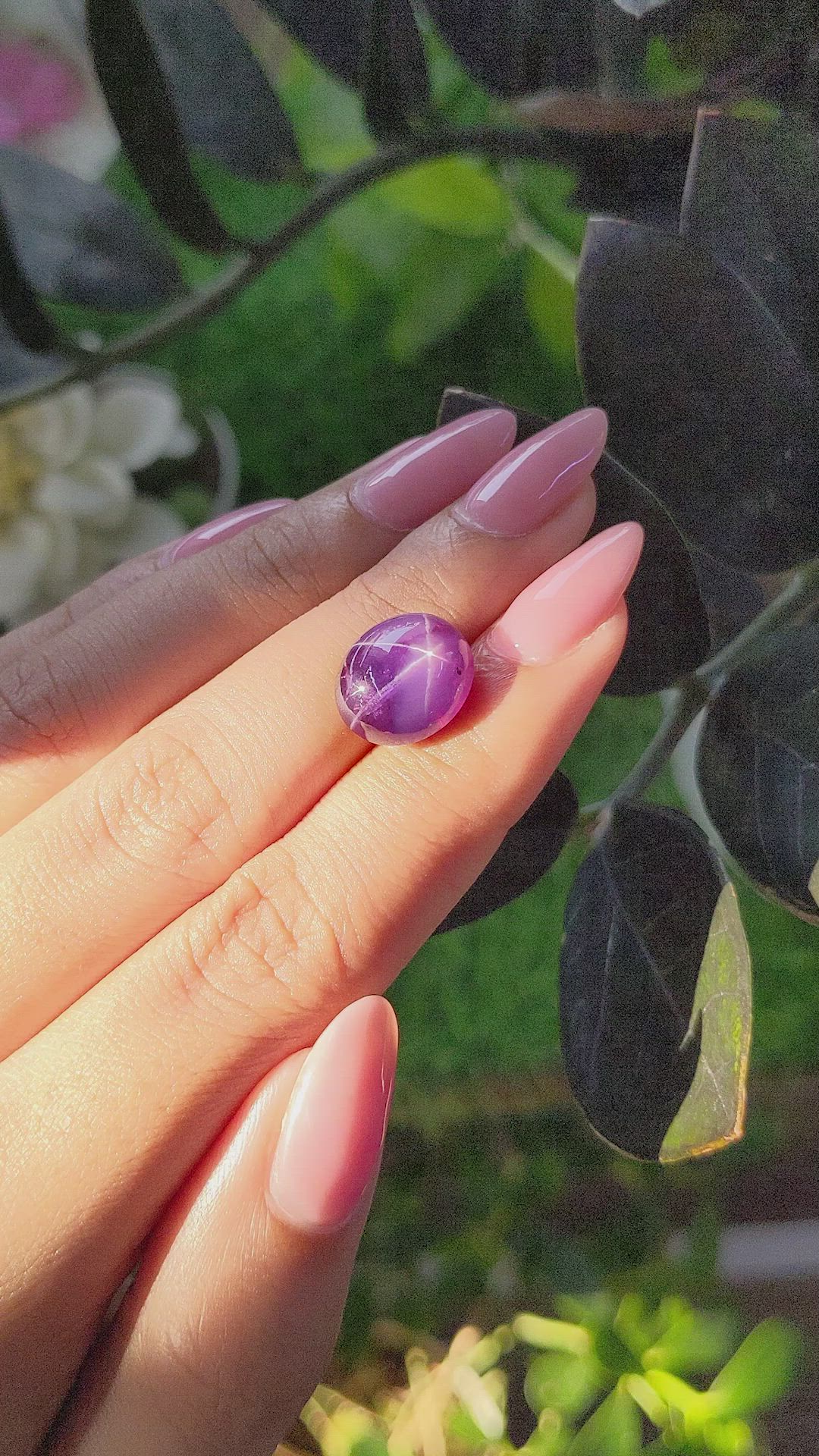 9.88 Ct. Purple Star Sapphire from Ceylon (Sri Lanka) Size Video